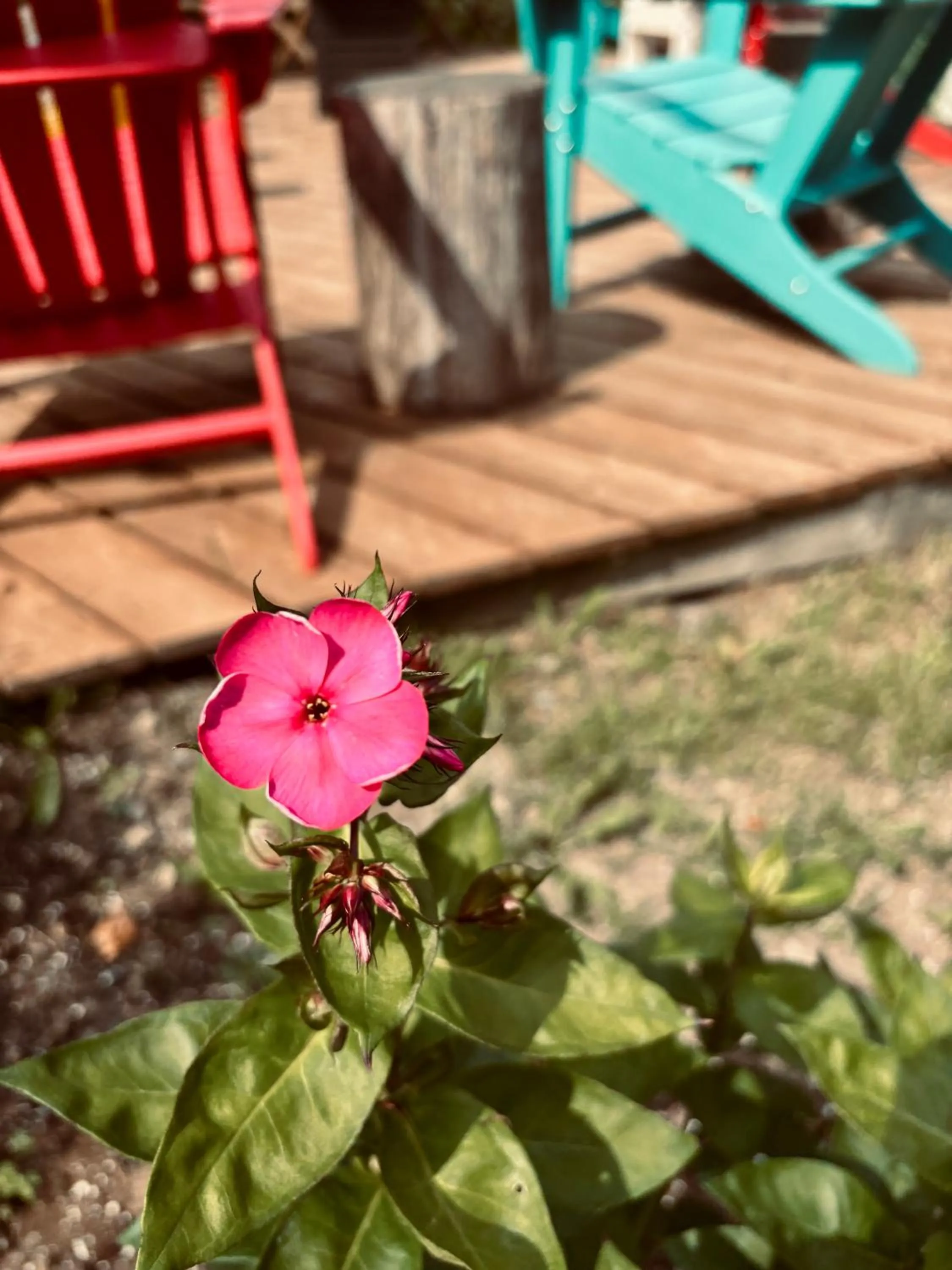 Spring in Auberge Sous les Arbres
