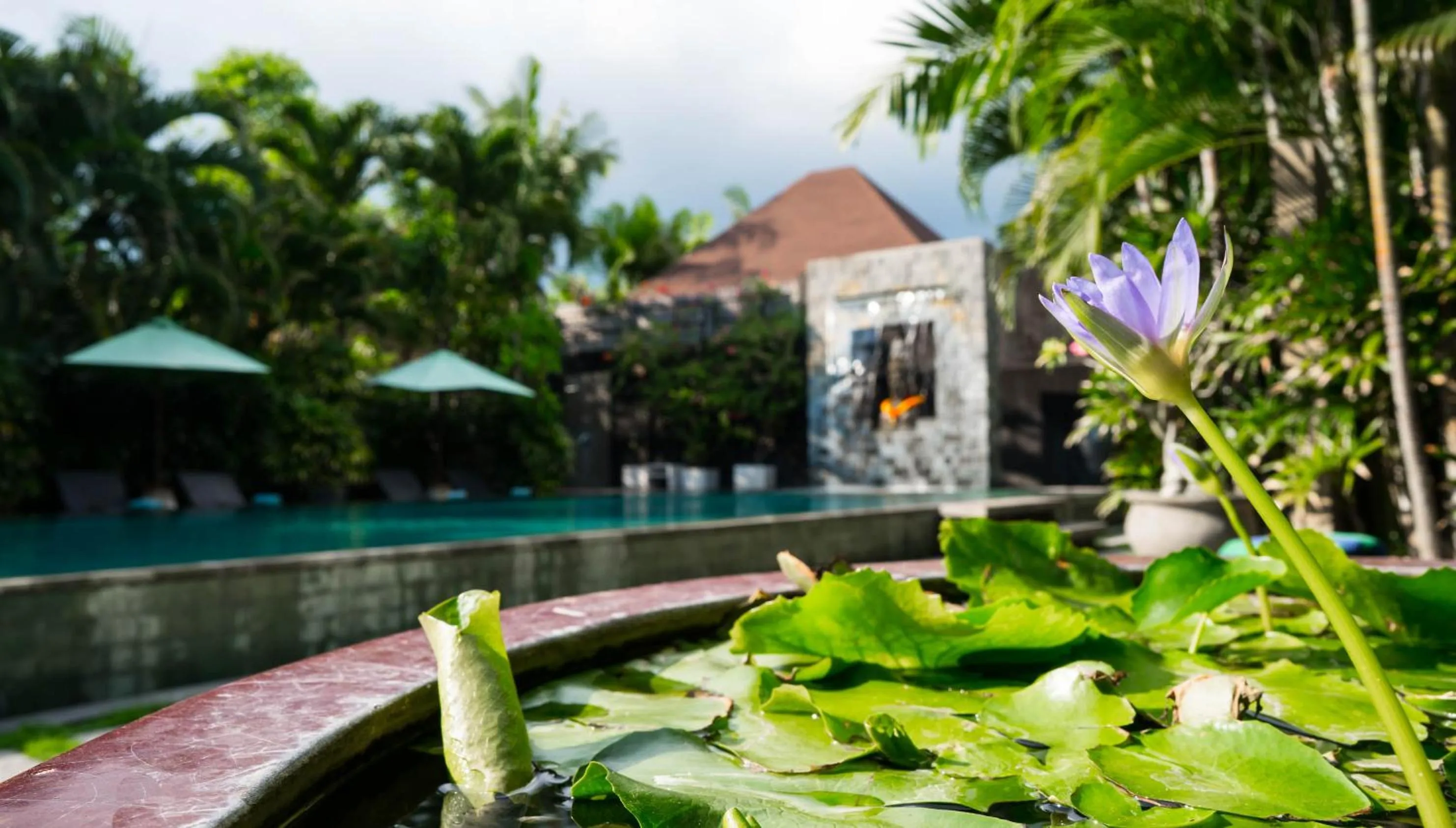 Swimming pool in Cicada Luxury Townhouses