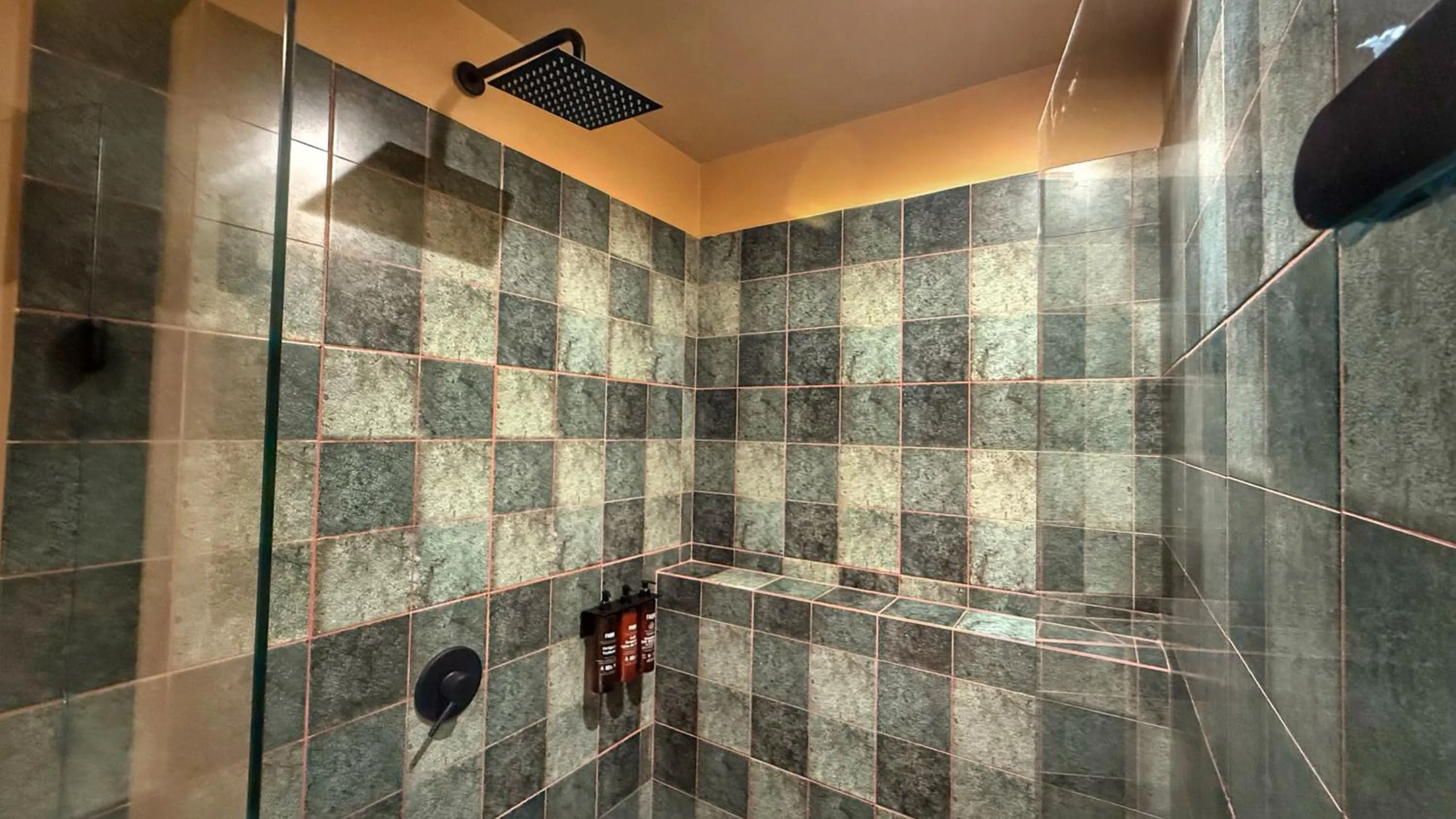 Shower in Autenthico Provenza Home Medellin