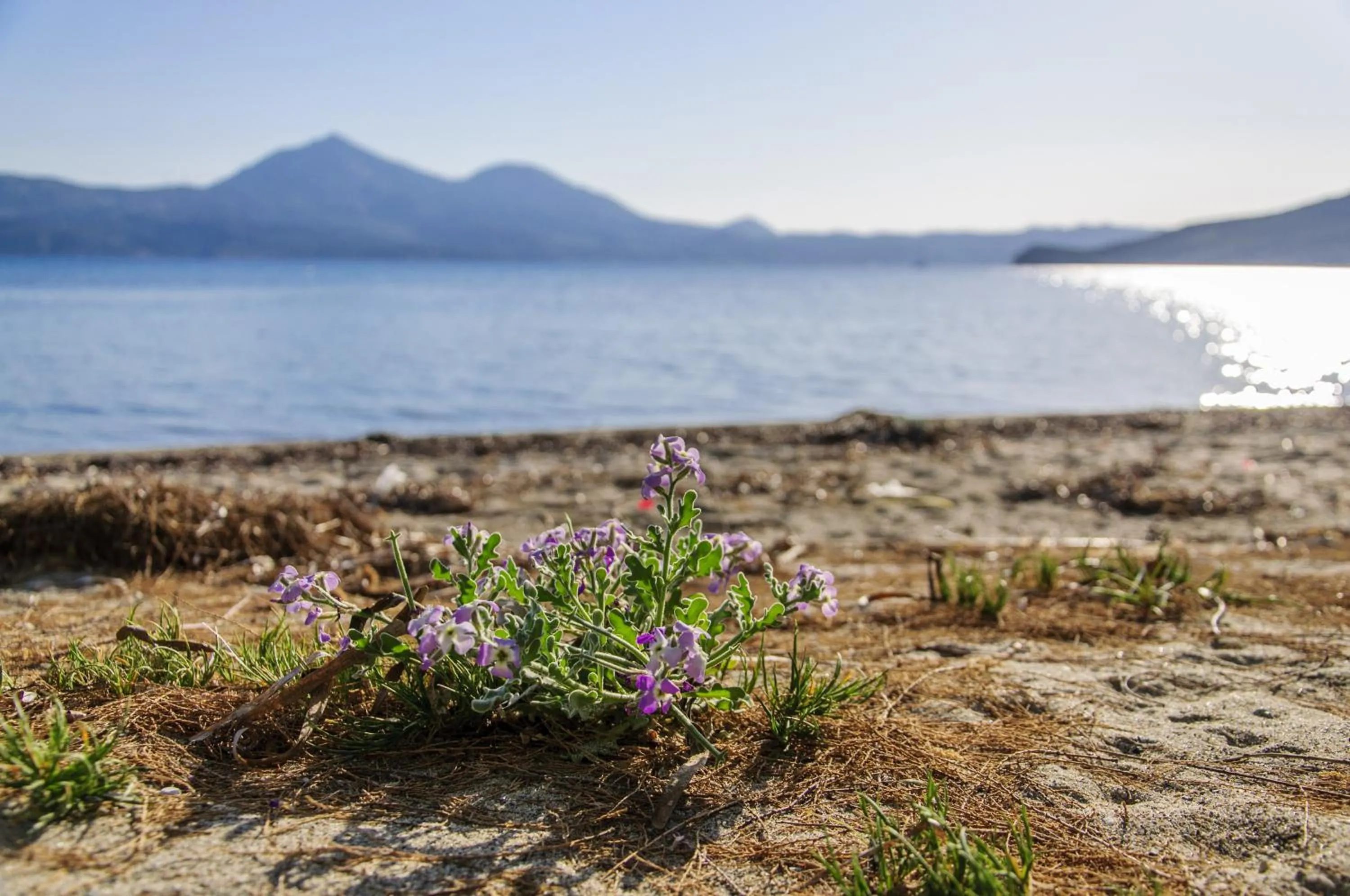 Beach in Christina Rooms