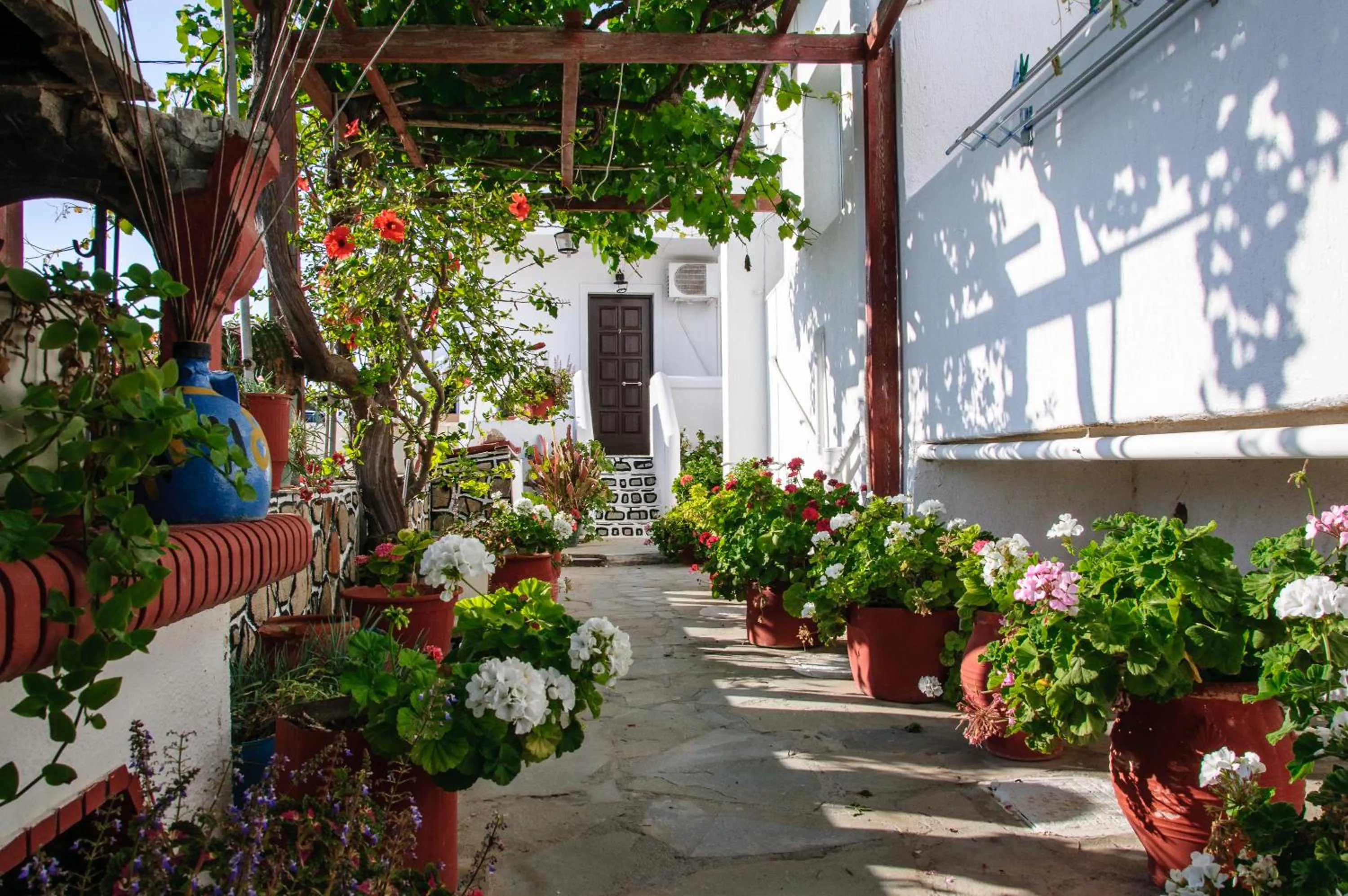 Patio in Christina Rooms