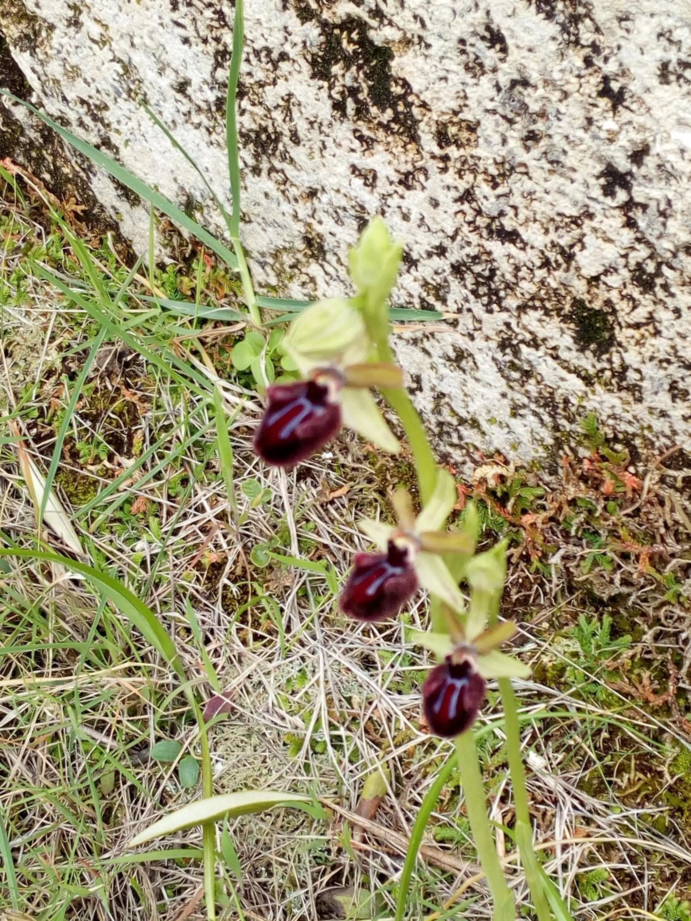Natural landscape in Azienda Agricola B&B Macchiaria