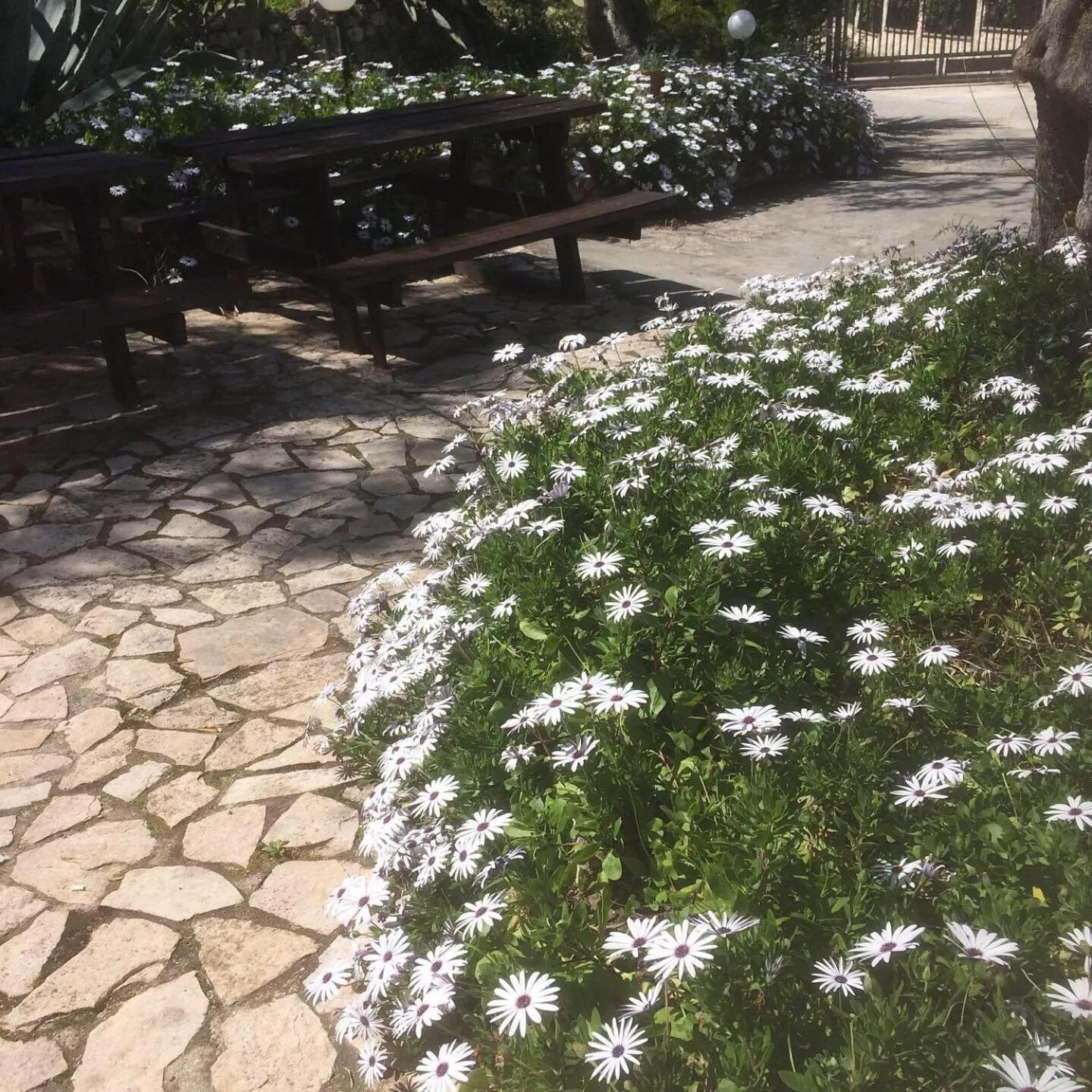 Azienda Agricola B&B Macchiaria