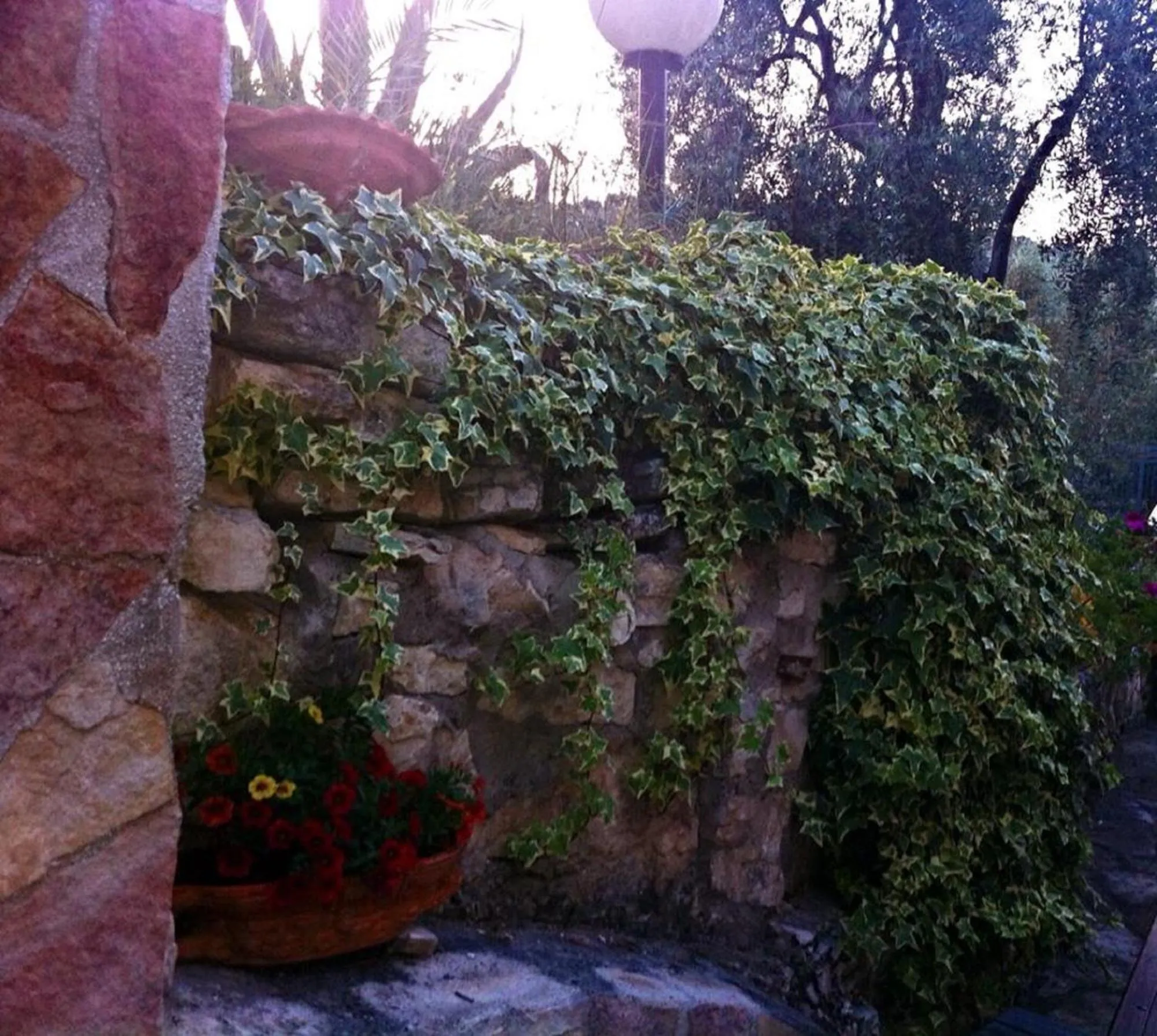 Garden in Azienda Agricola B&B Macchiaria