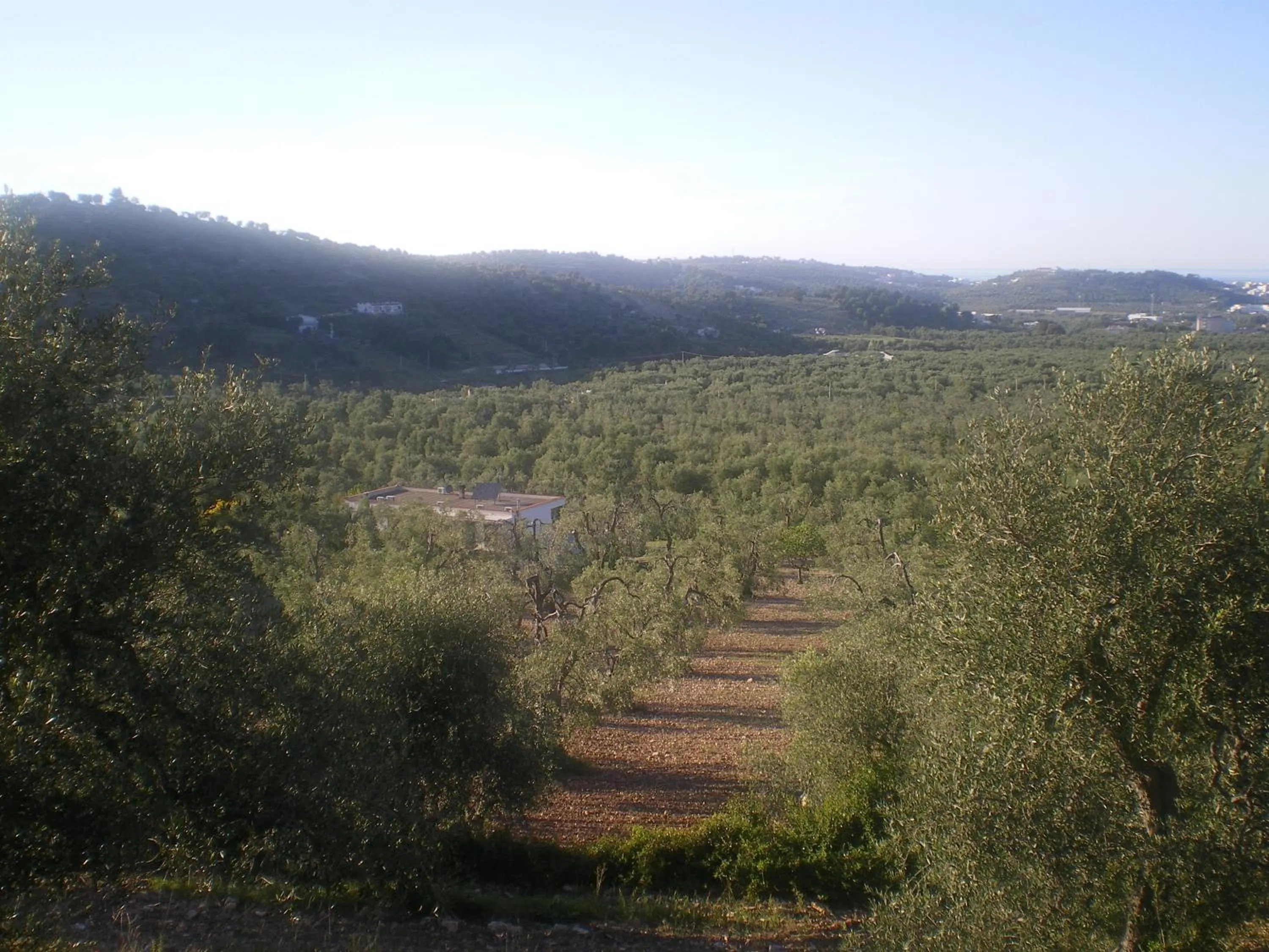 View (from property/room) in Azienda Agricola B&B Macchiaria