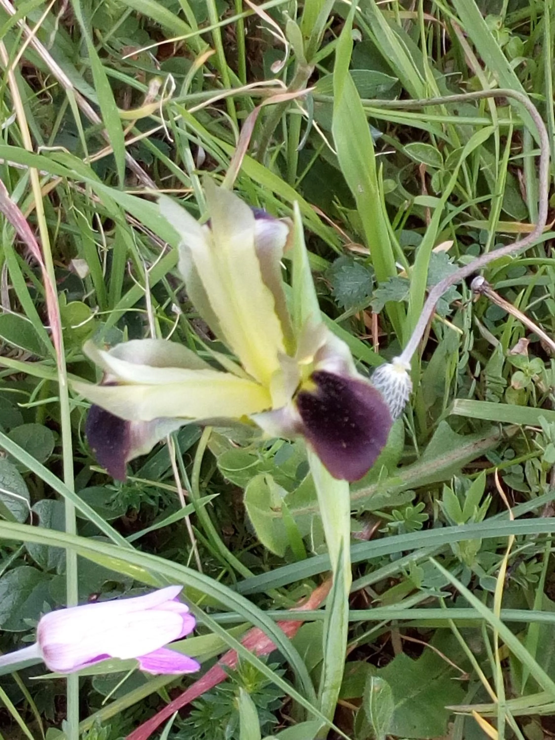 Other in Azienda Agricola B&B Macchiaria