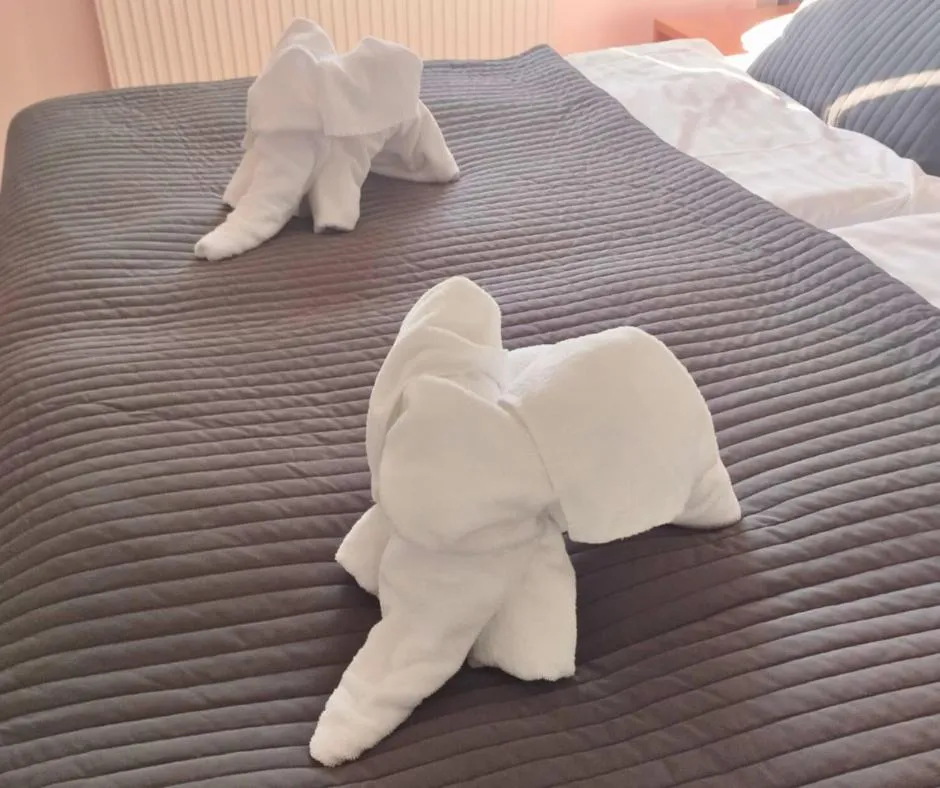 Bed in Hotel Limba CTT