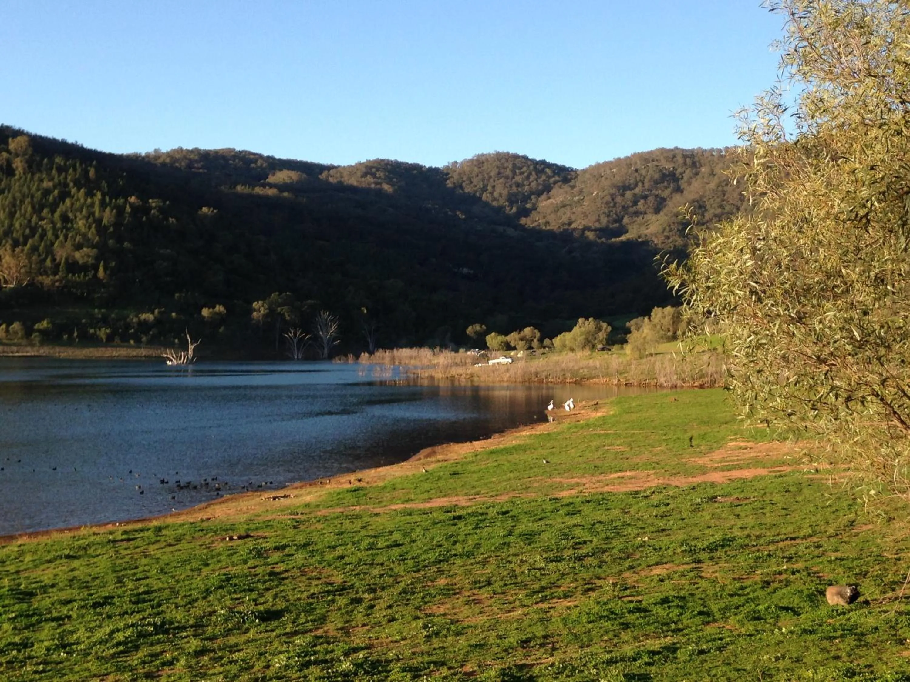 Fishing in Airlie House Motor Inn