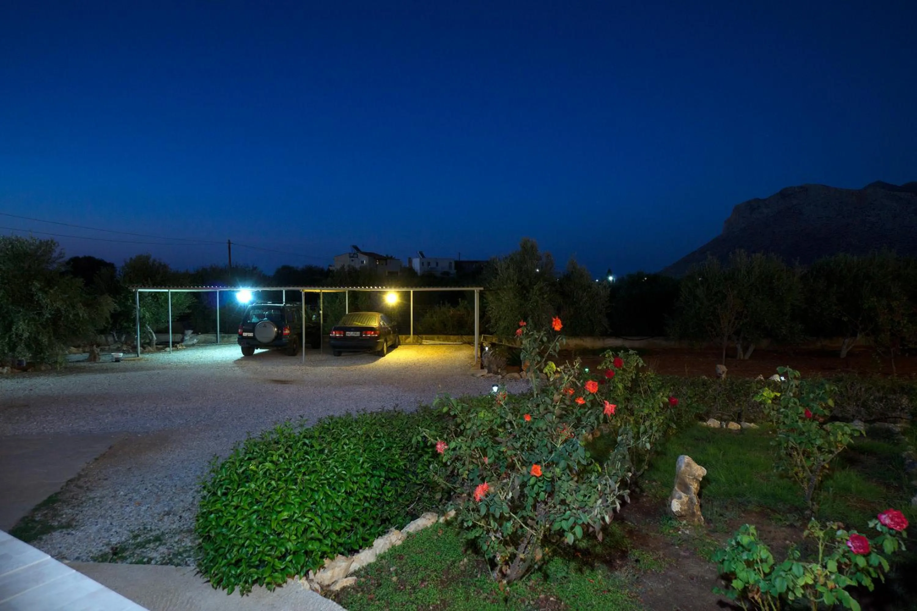 Garden in Skamagkas M. Apartments