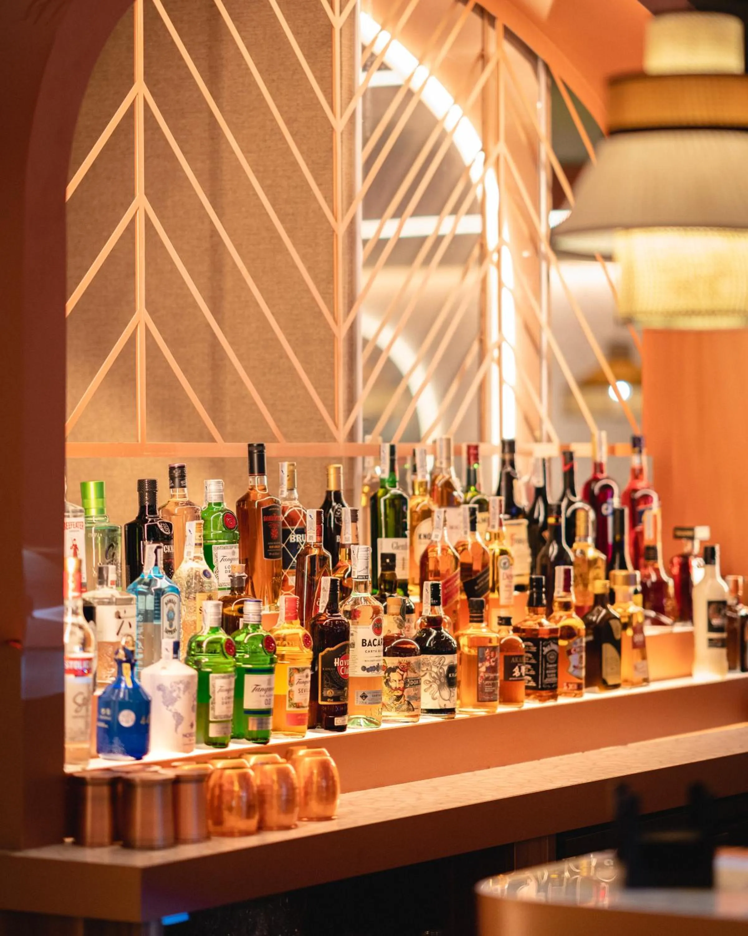 Food and drinks in Hotel Primavera Park