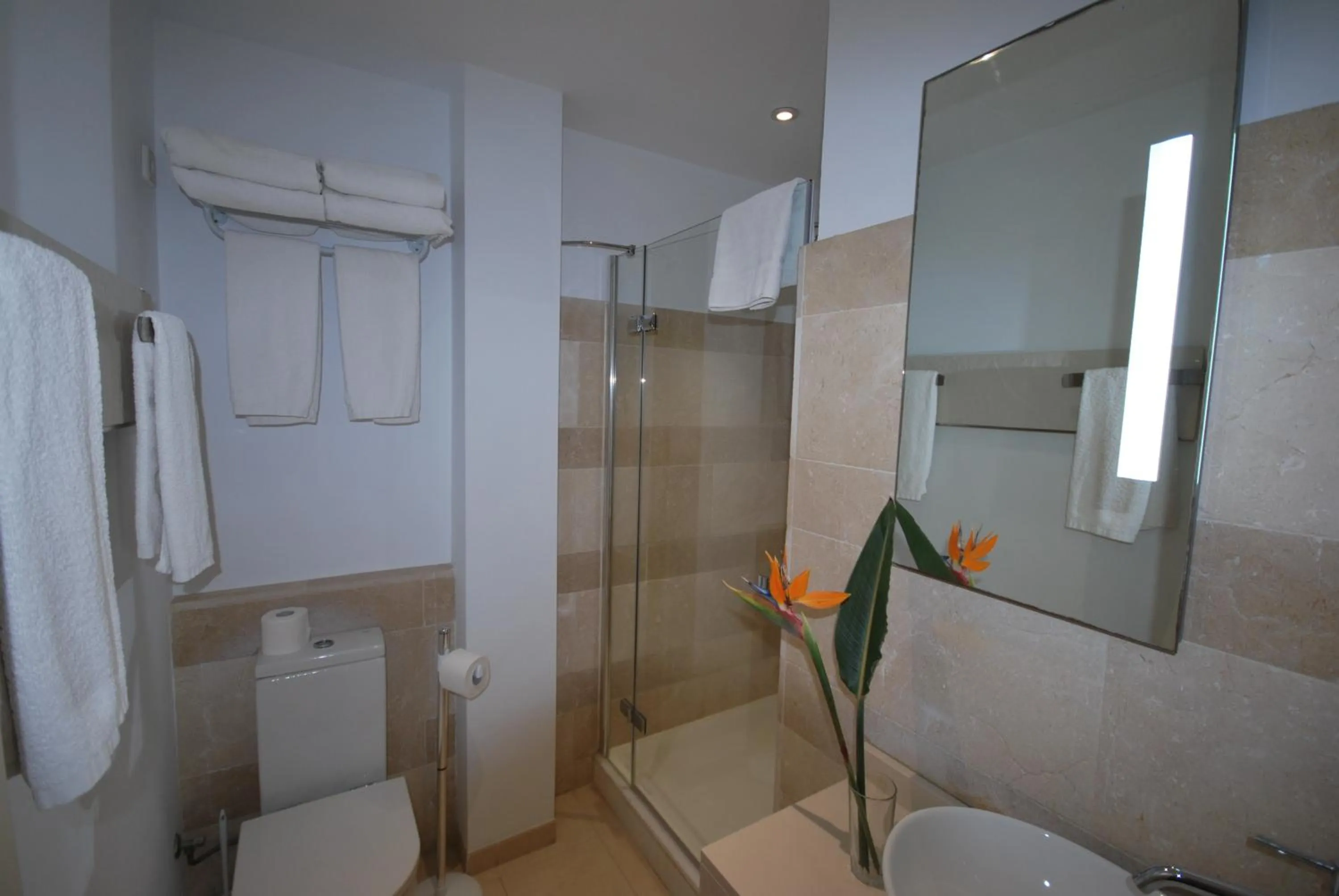 Bathroom in Apartamentos Alborada