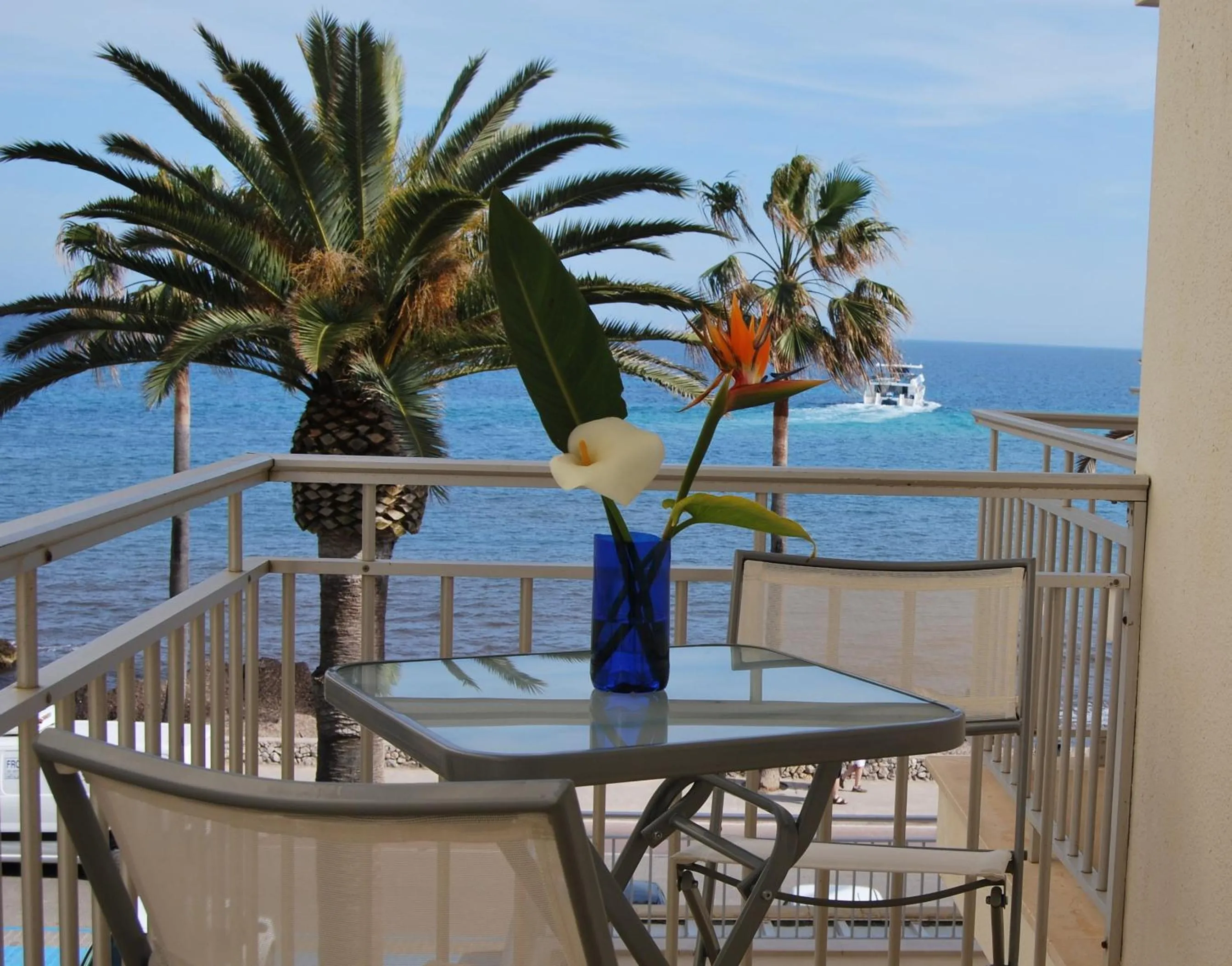 Day in Apartamentos Alborada