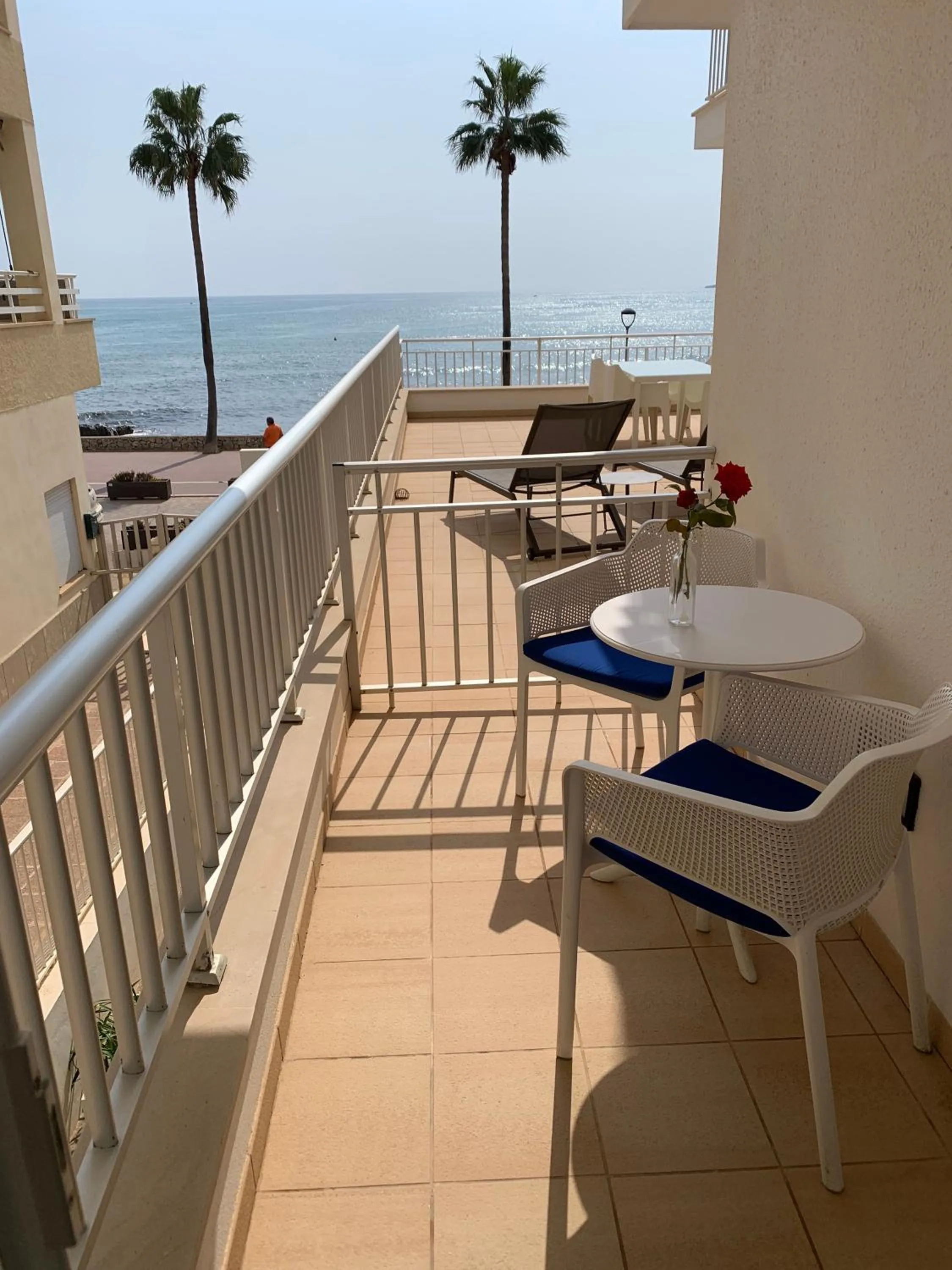 Balcony/Terrace in Apartamentos Alborada