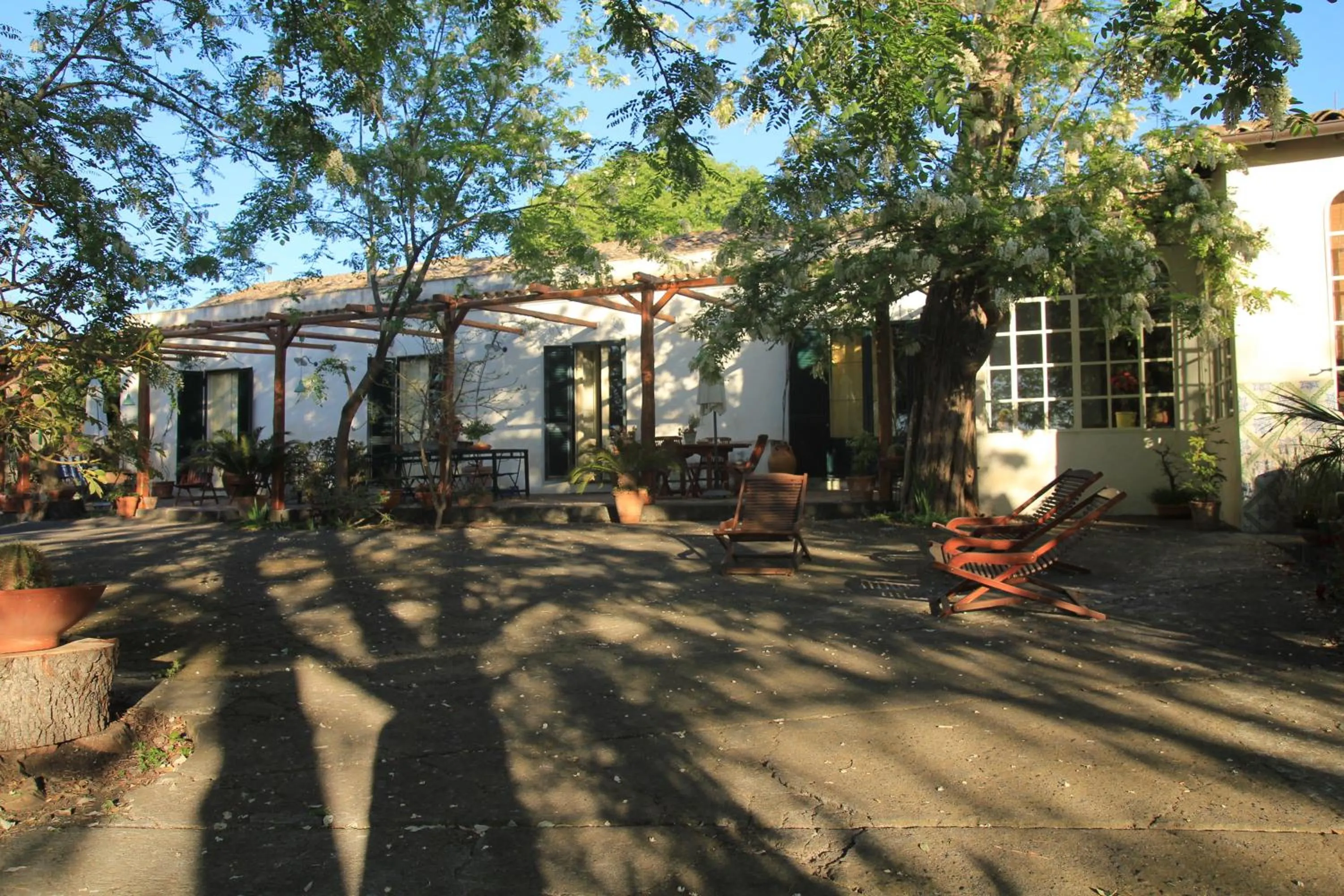 Facade/entrance in Etna B&B La casa di Pippinitto
