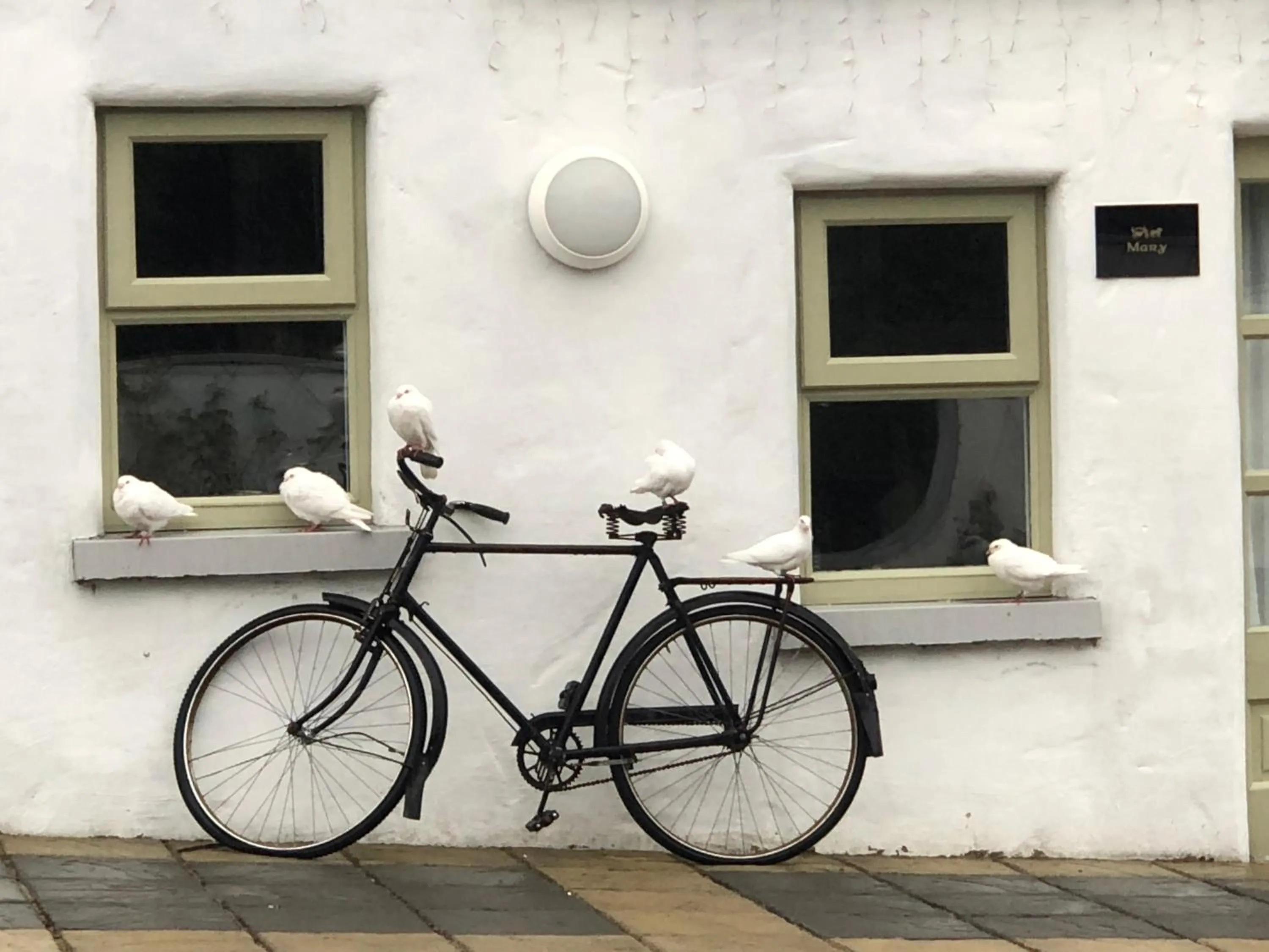 The Carriage Houses at Beechpark House