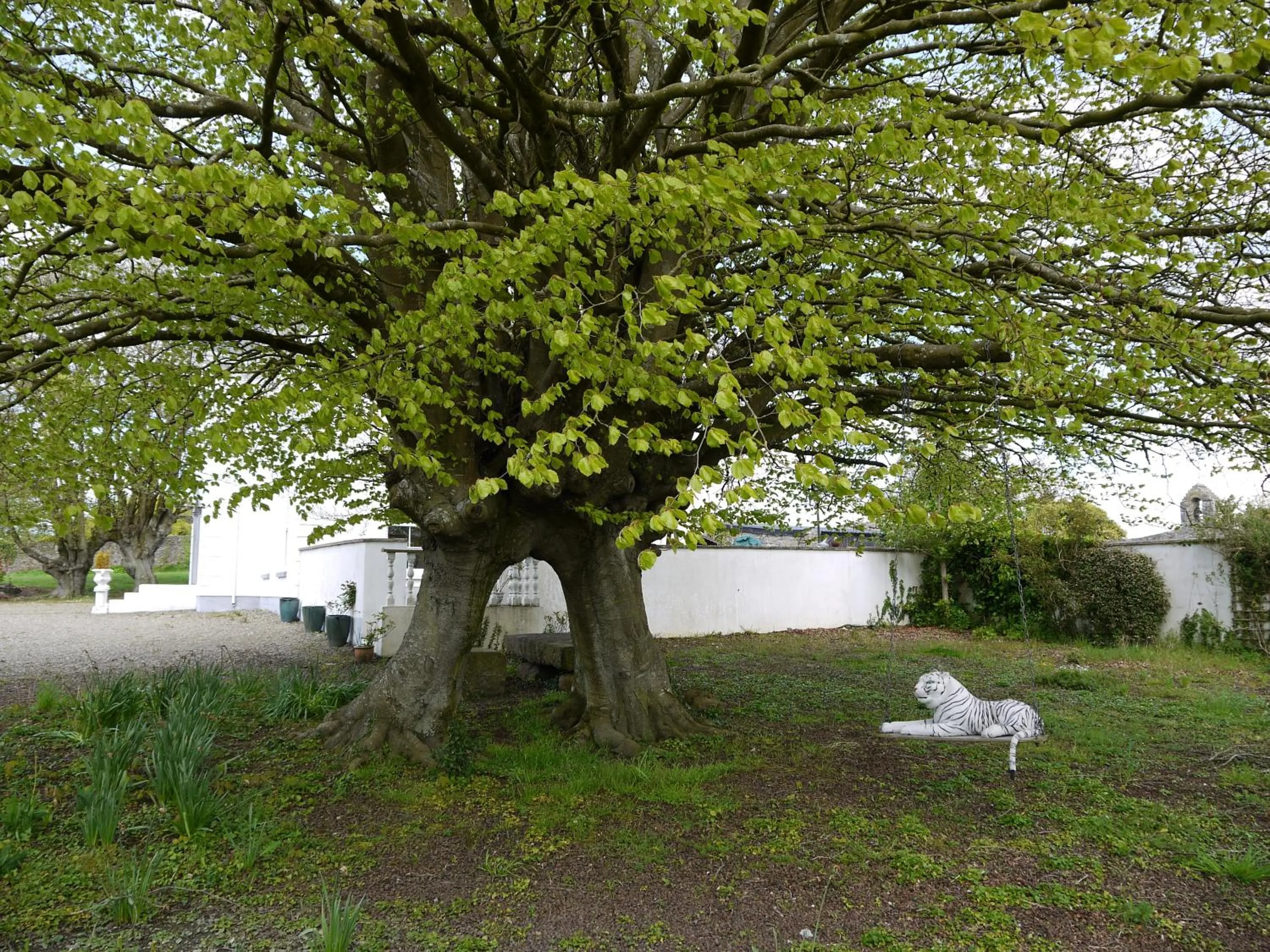 The Carriage Houses at Beechpark House