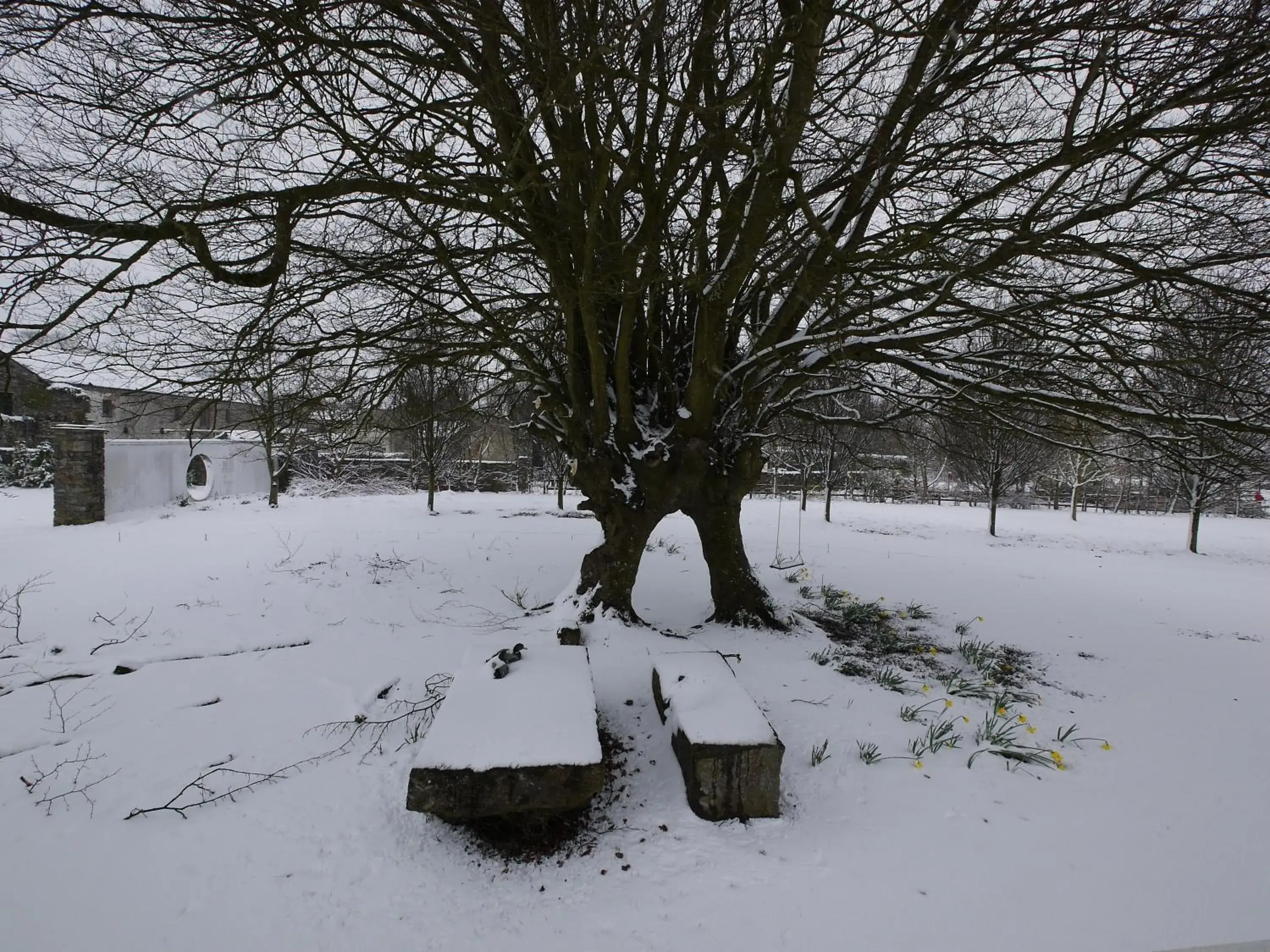 Deluxe Suite in The Carriage Houses at Beechpark House Deluxe Suite in The Carriage Houses at Beechpark House