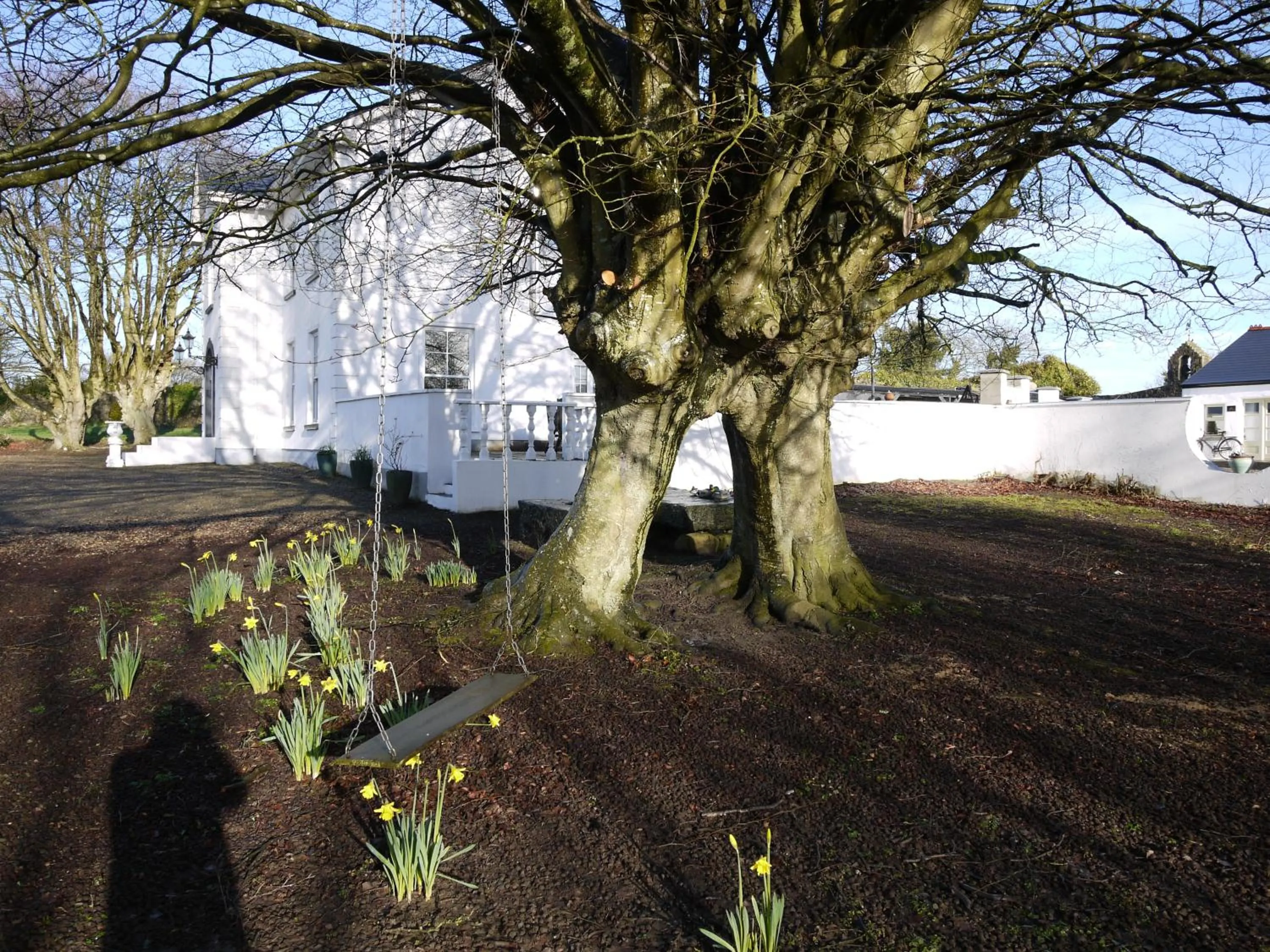 Natural landscape in The Carriage Houses at Beechpark House