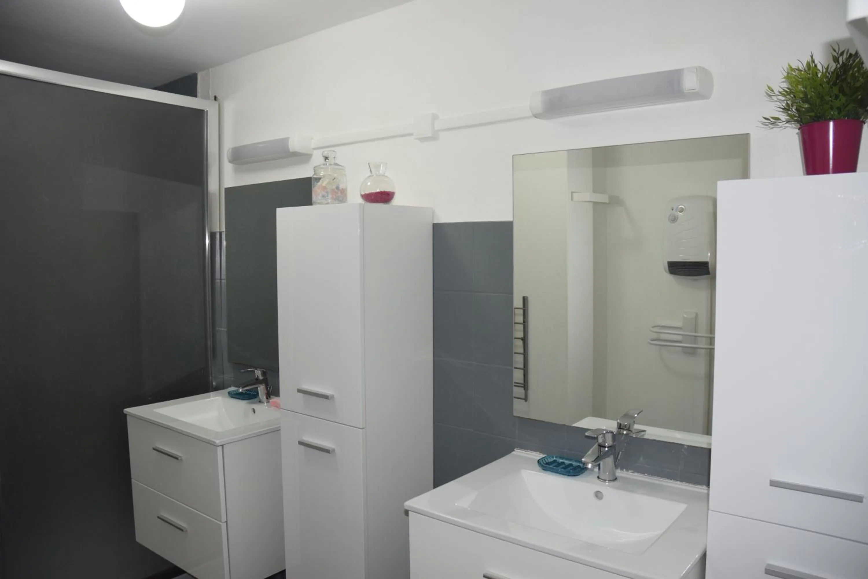 Shower in Appart-alma