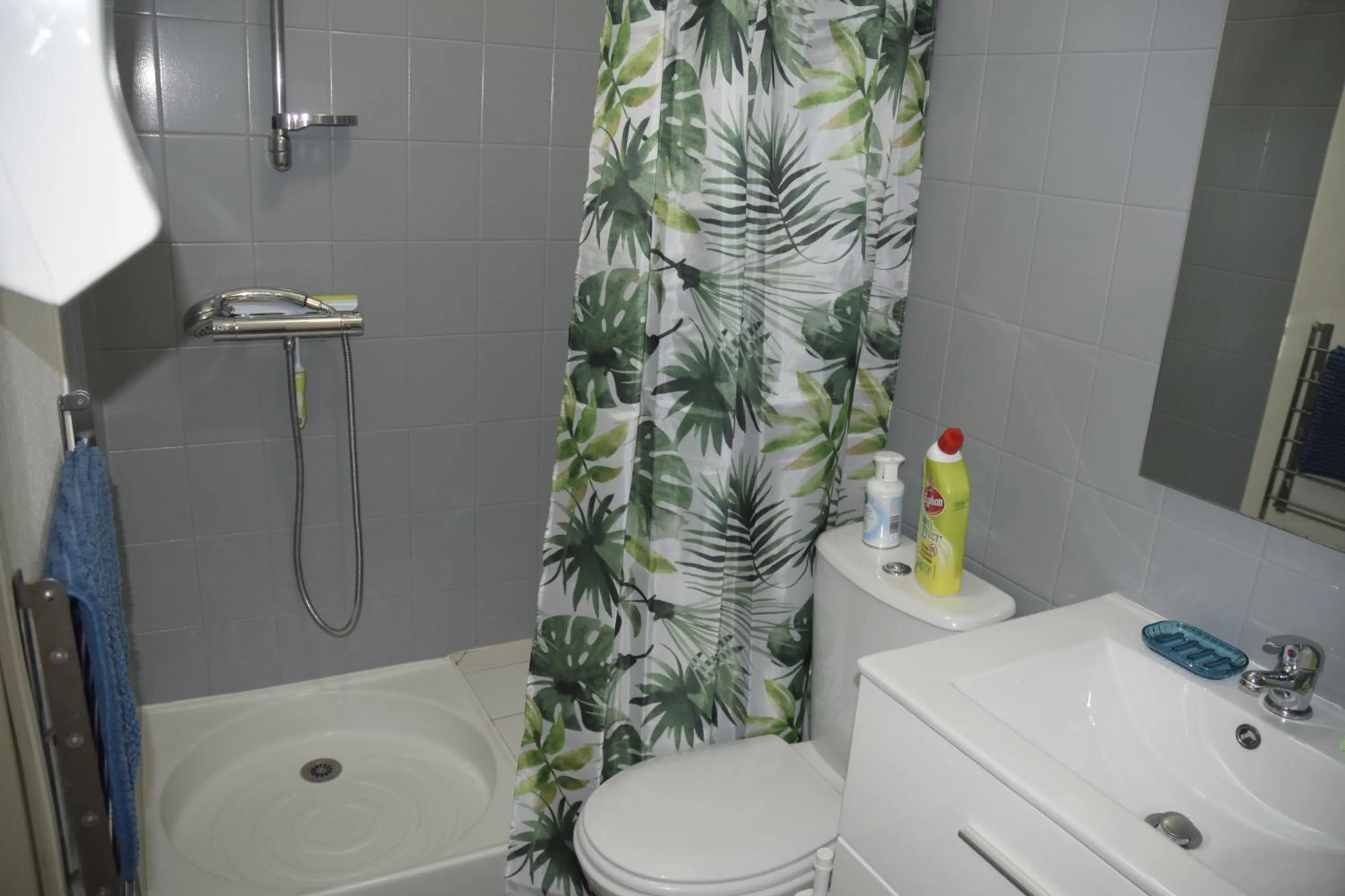 Shower in Appart-alma