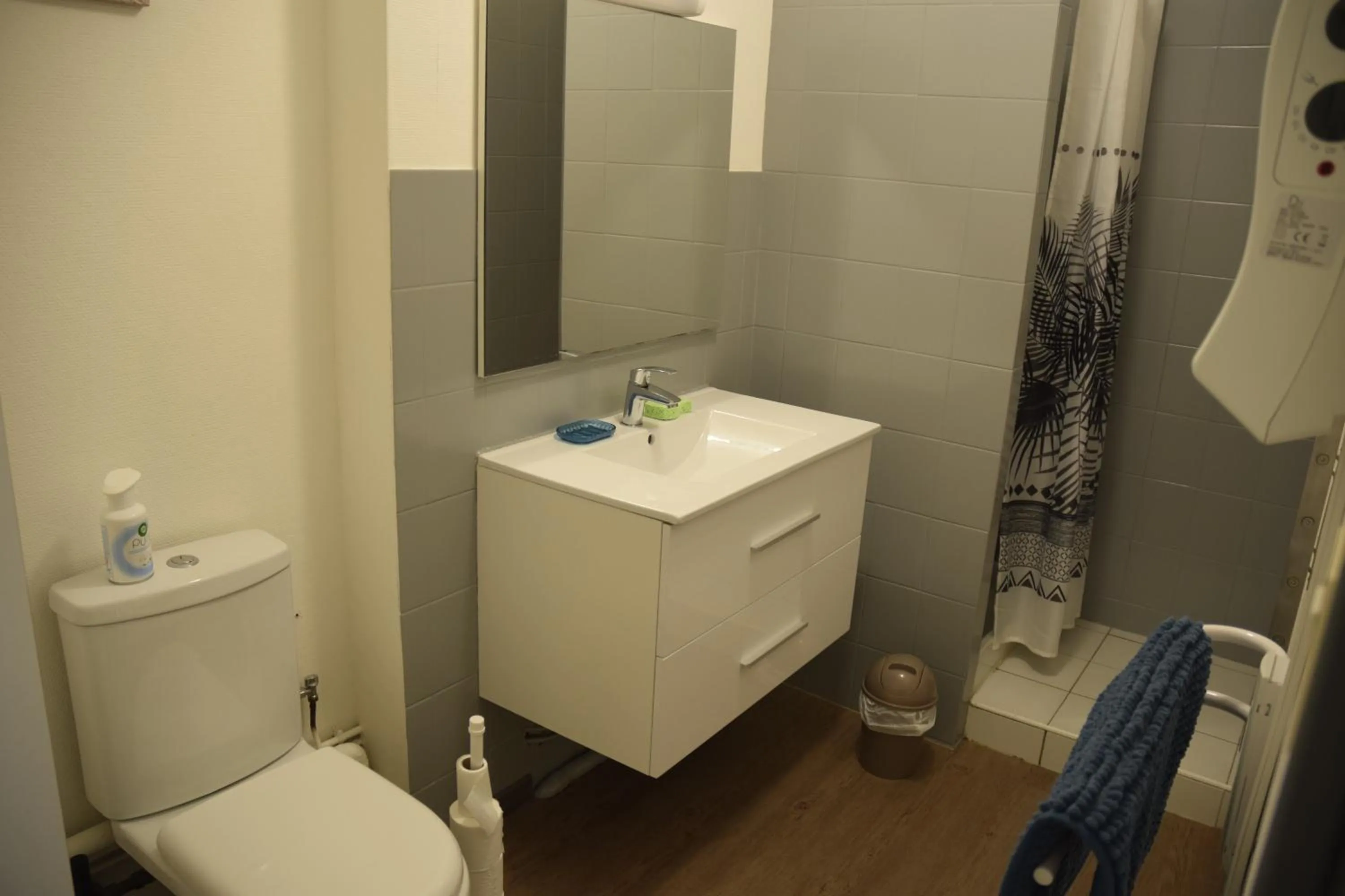 Shower in Appart-alma