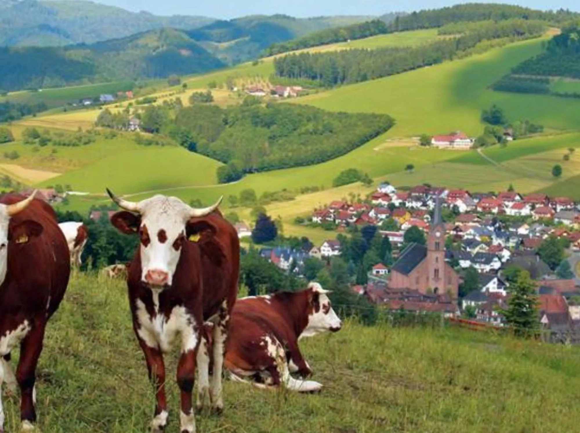 Property building in Gasthaus Zur Linde Ferienwohnungen
