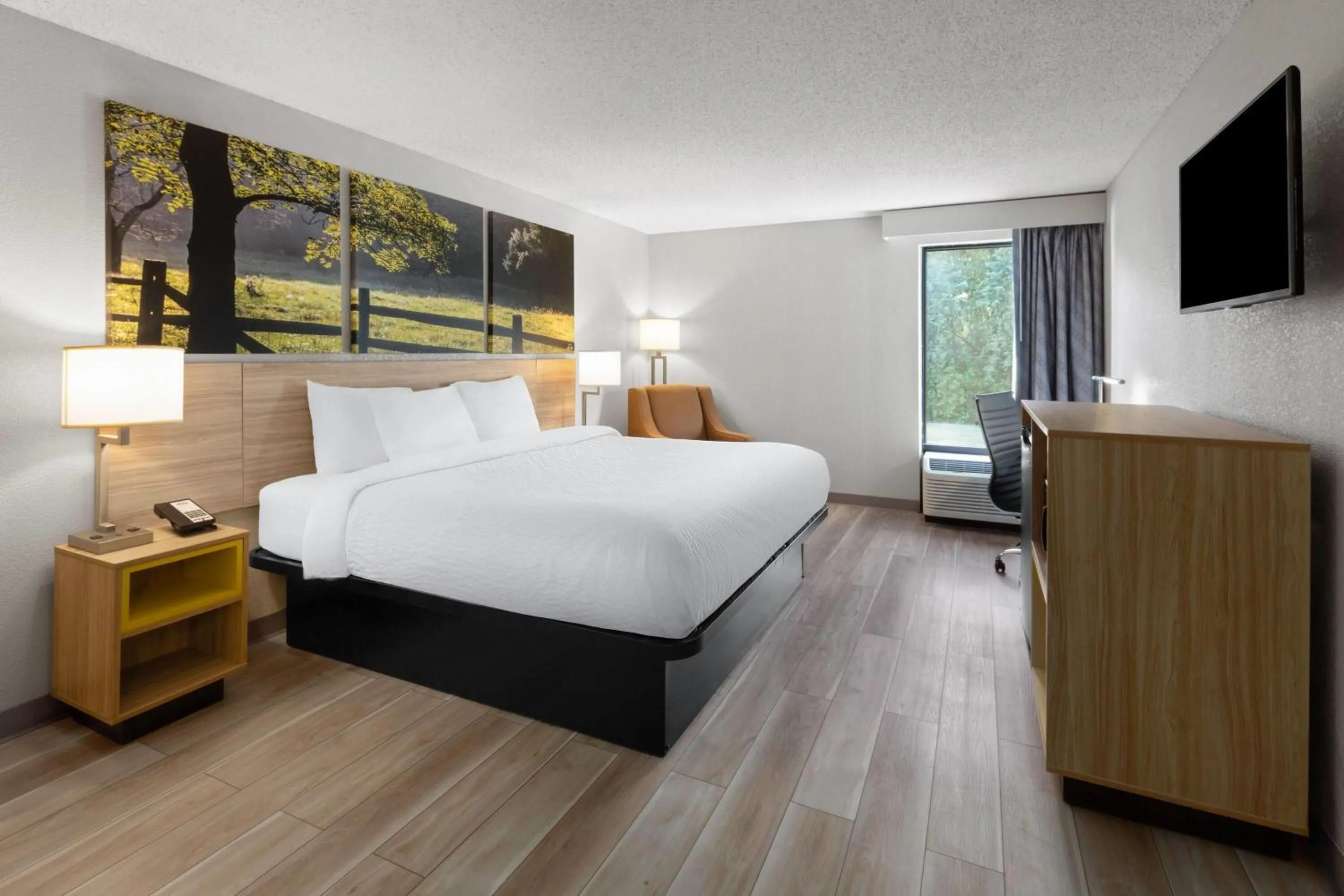 Photo of the whole room, Bed in Days Inn by Wyndham Blairsville