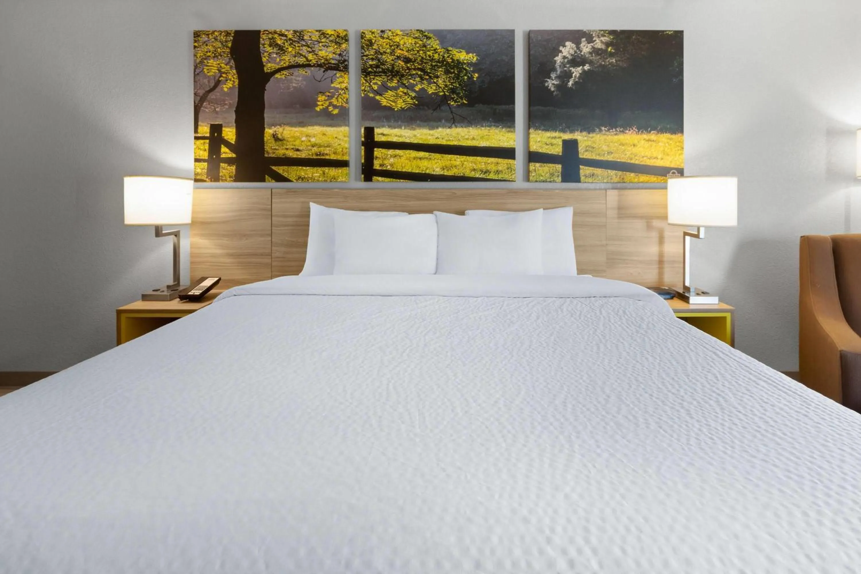 Photo of the whole room, Bed in Days Inn by Wyndham Blairsville