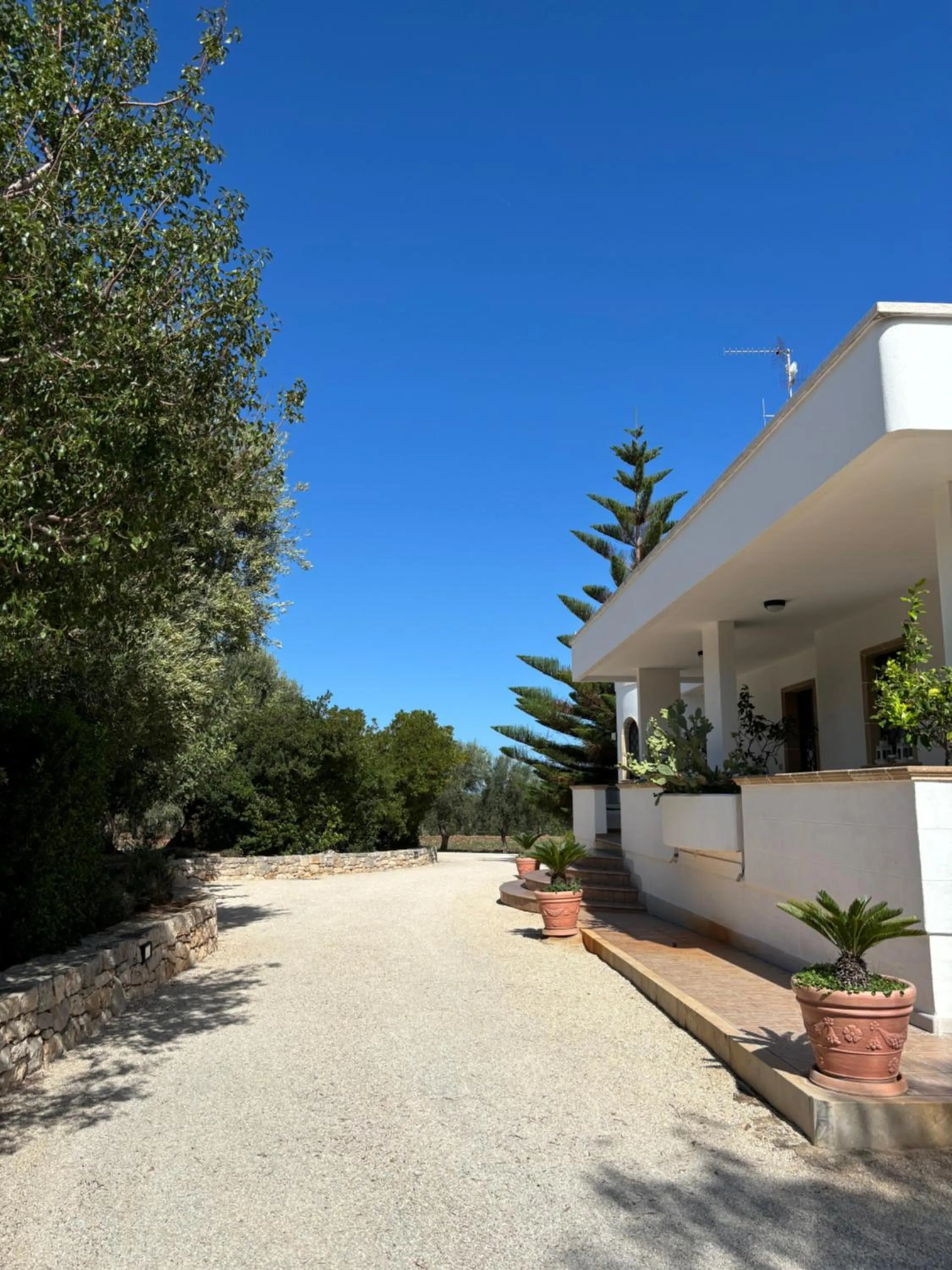 Property building in Villa Narducci