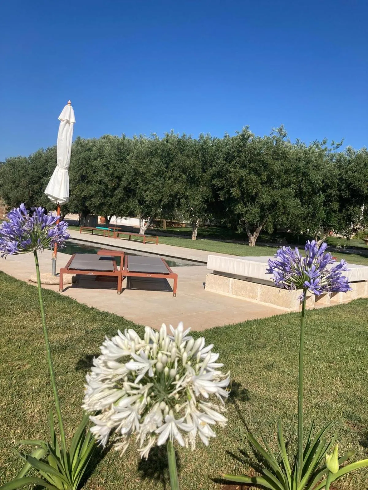Swimming pool in Villa Narducci