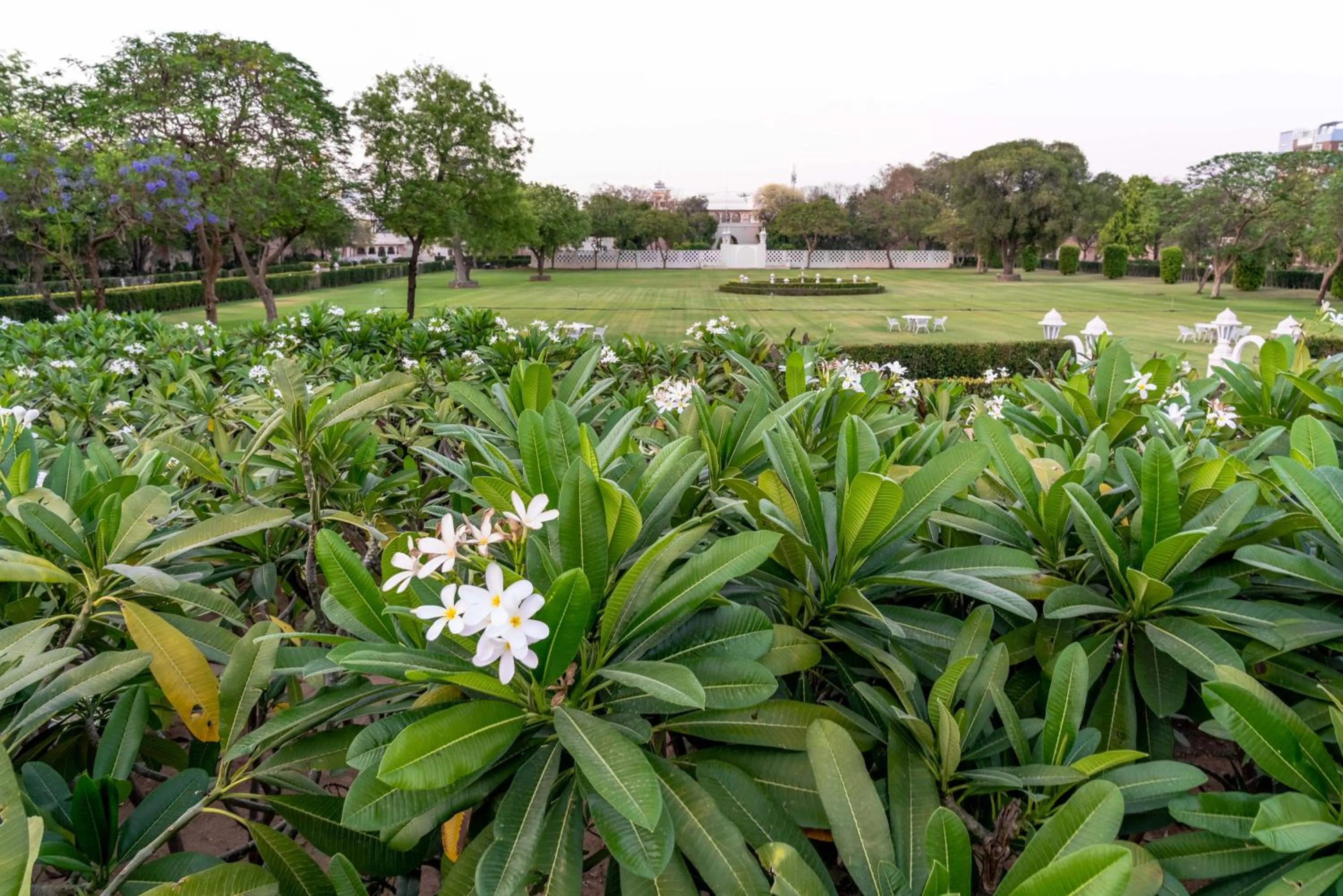 Swimming pool in Rajmahal Palace RAAS