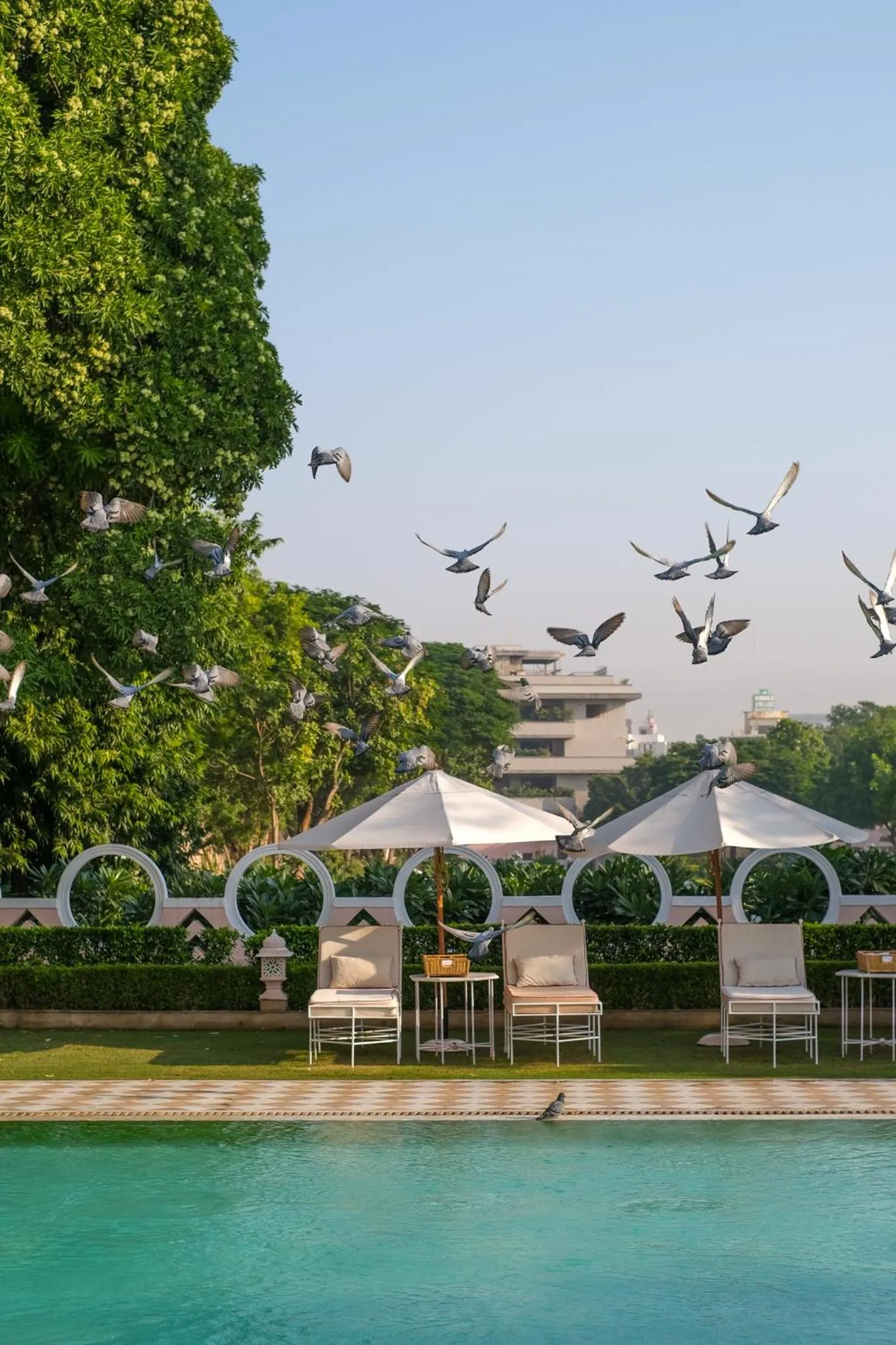 Swimming pool in Rajmahal Palace RAAS