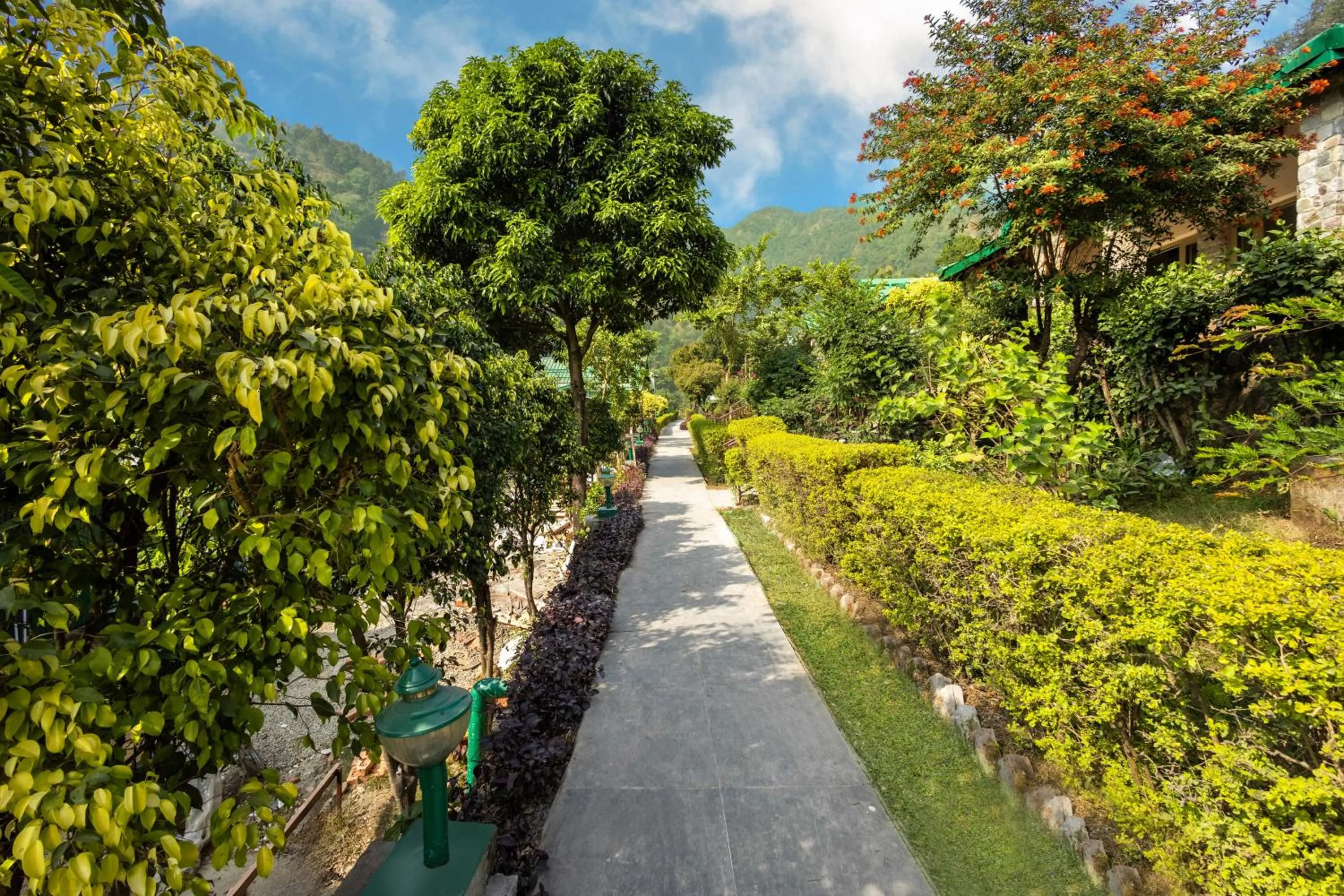 Garden view in Sterling Corbett
