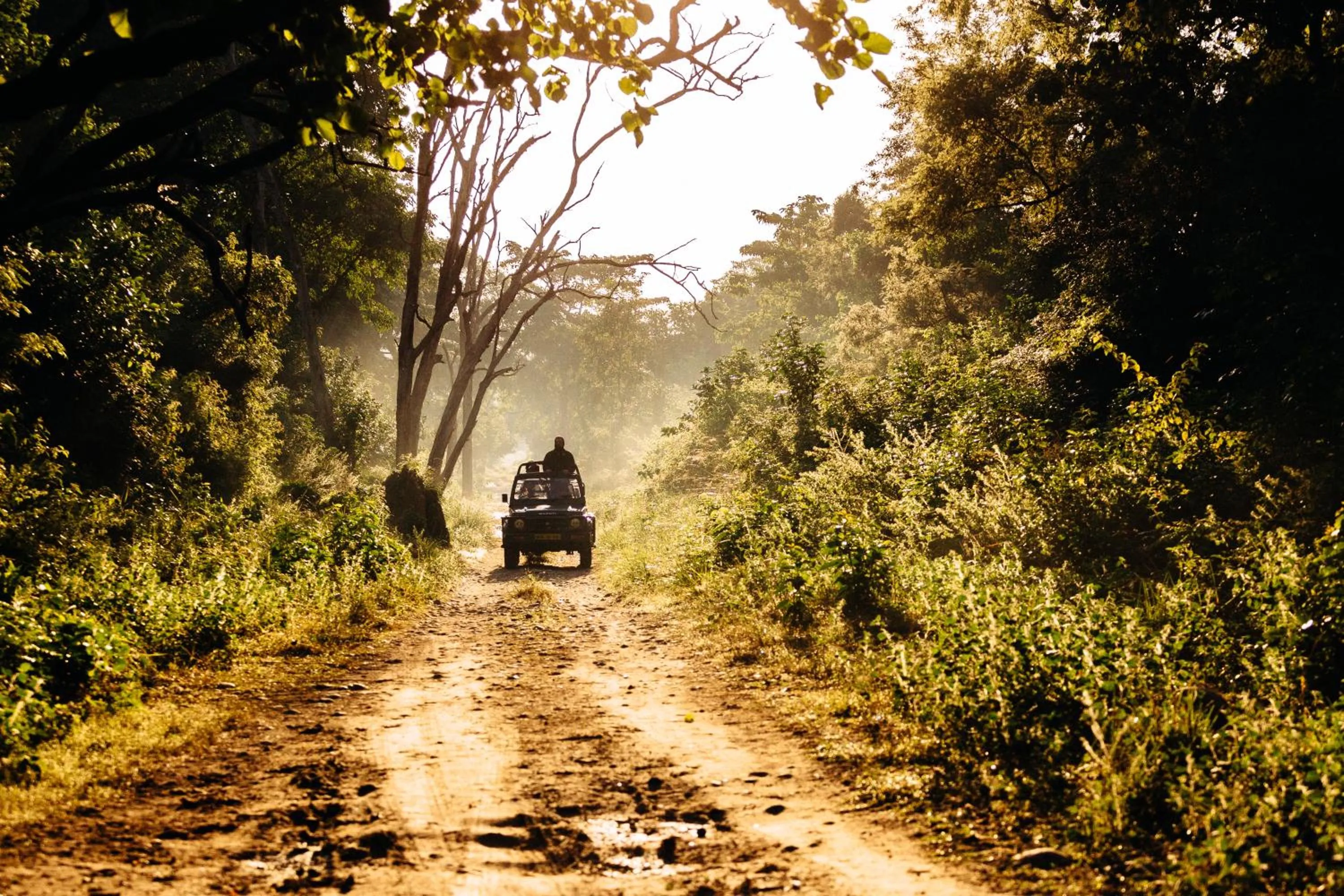 Off site in Sterling Corbett