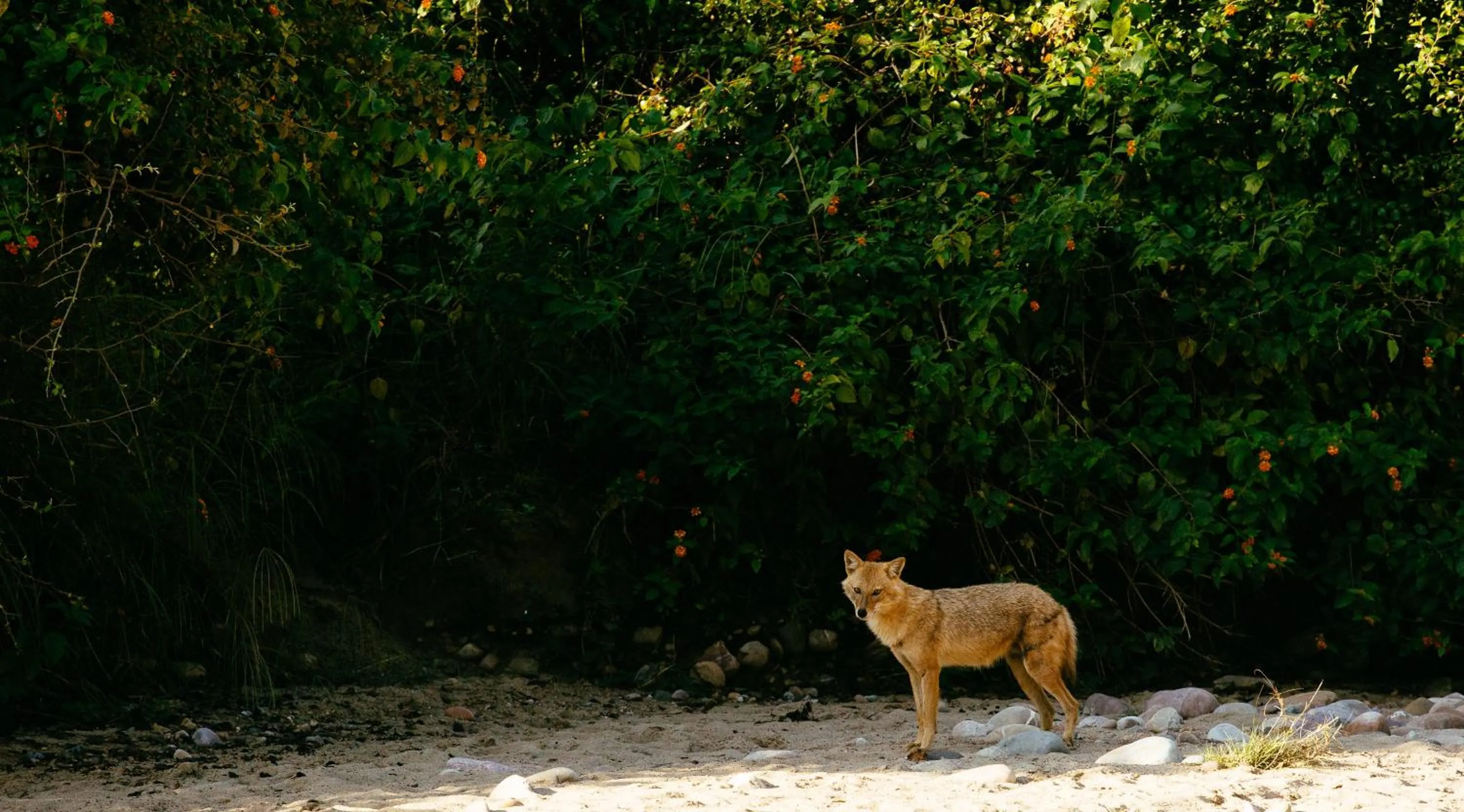 Off site in Sterling Corbett