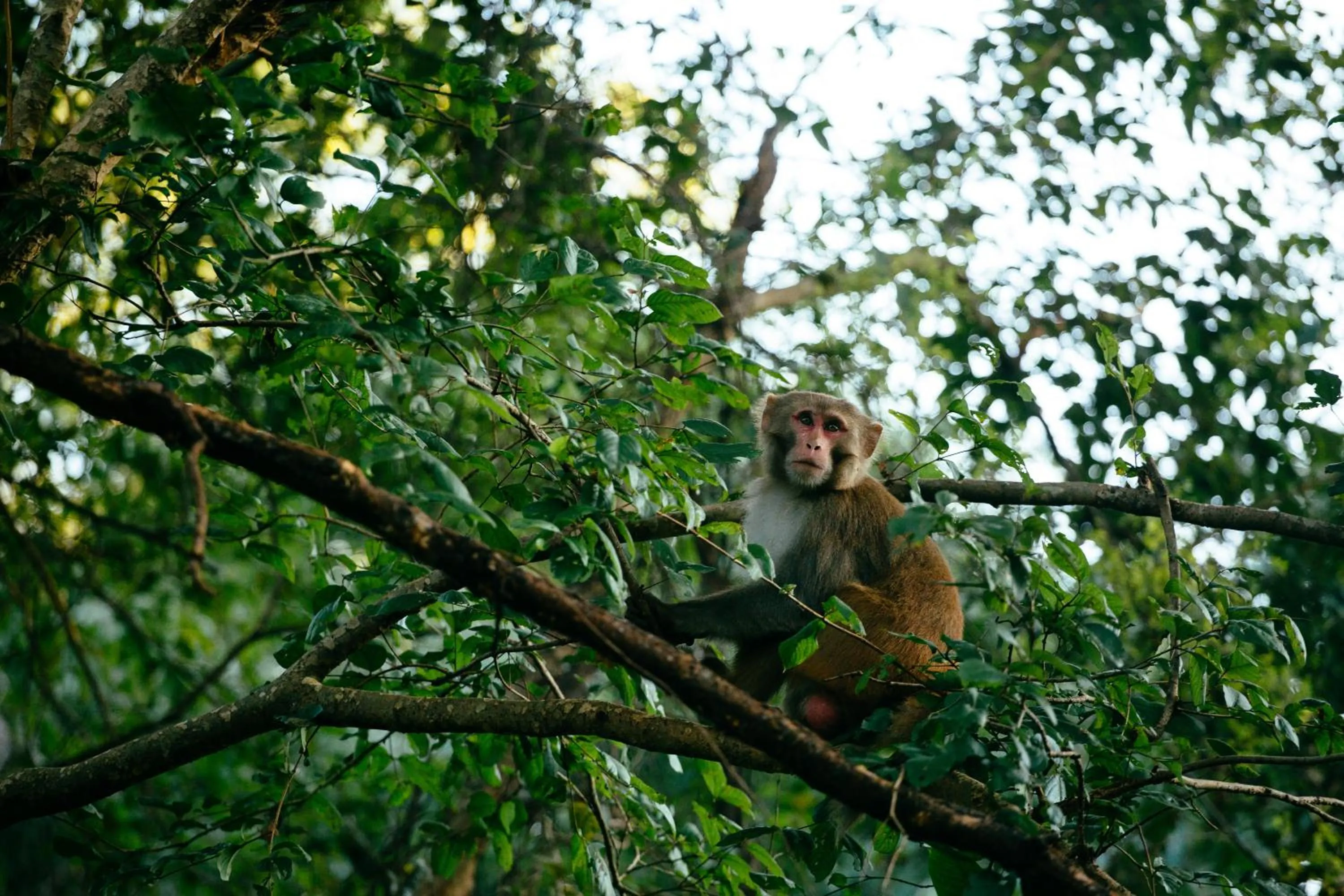 Off site in Sterling Corbett