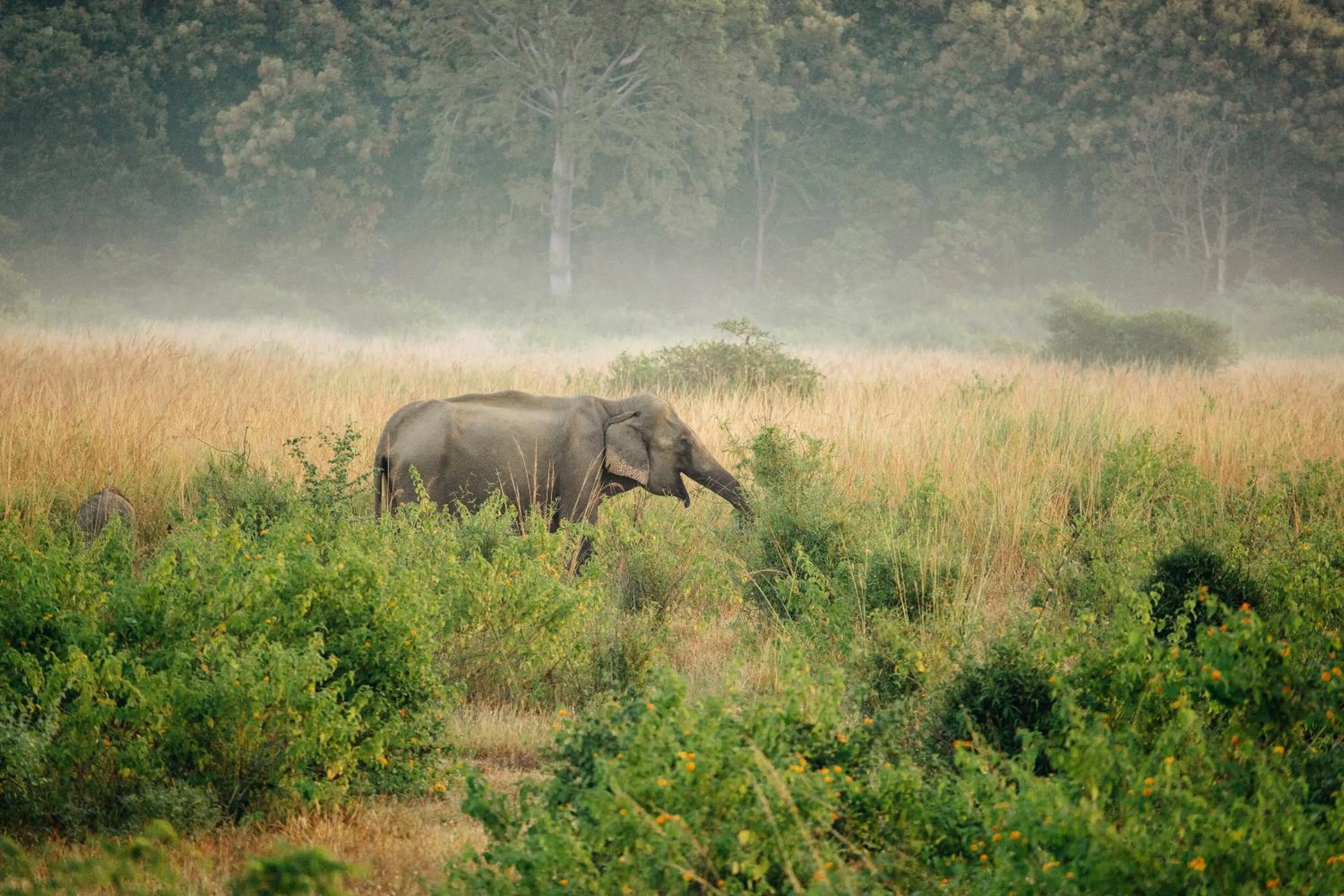 Off site in Sterling Corbett