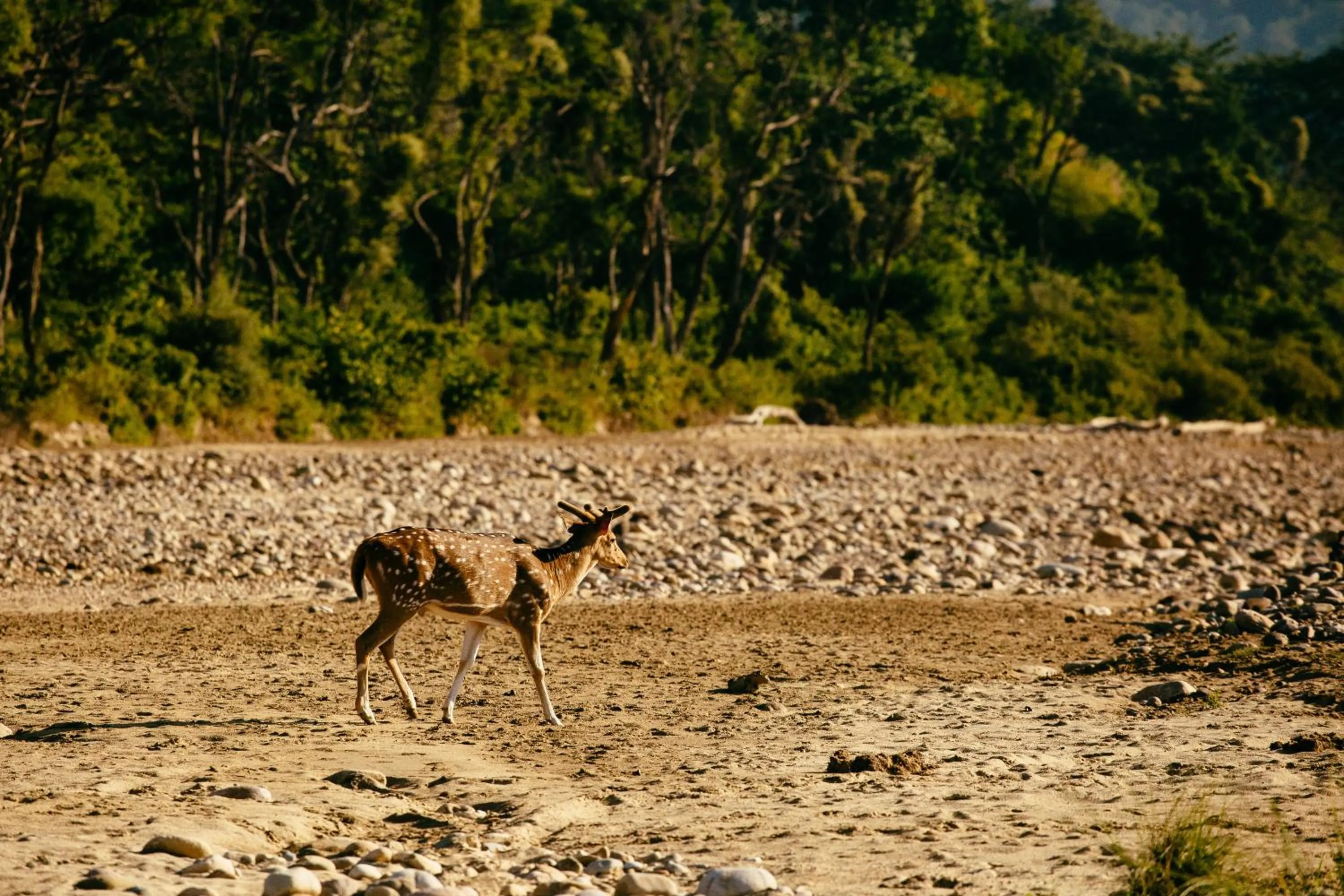 Off site in Sterling Corbett