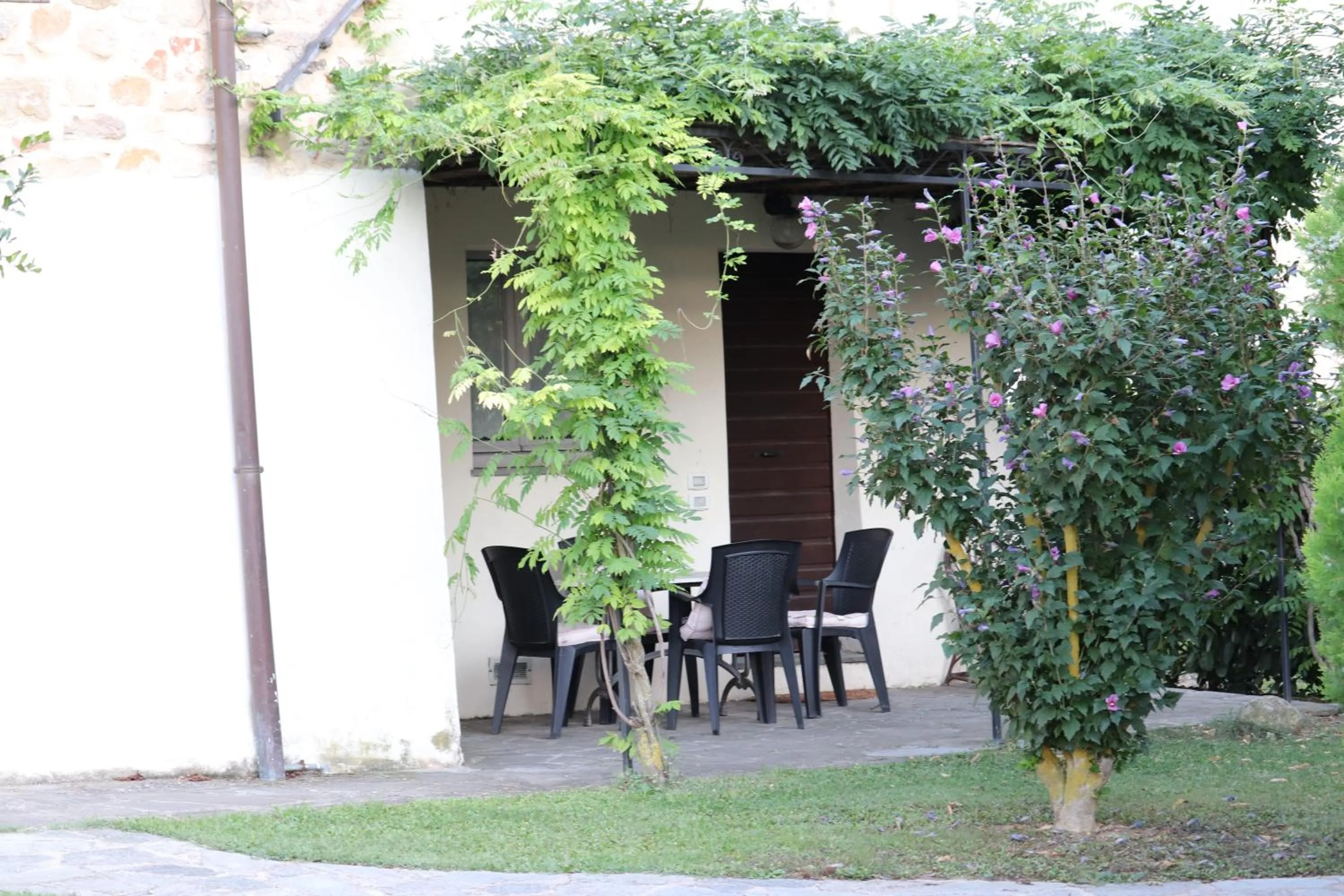 Apartment - Ground Floor in Badia il Vingone