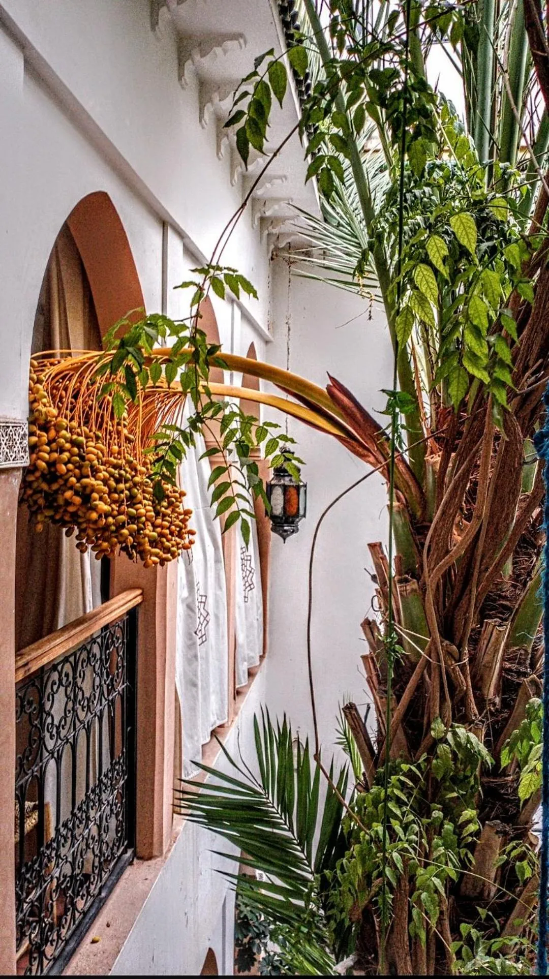 Balcony/Terrace in Riad Dar Mamouni
