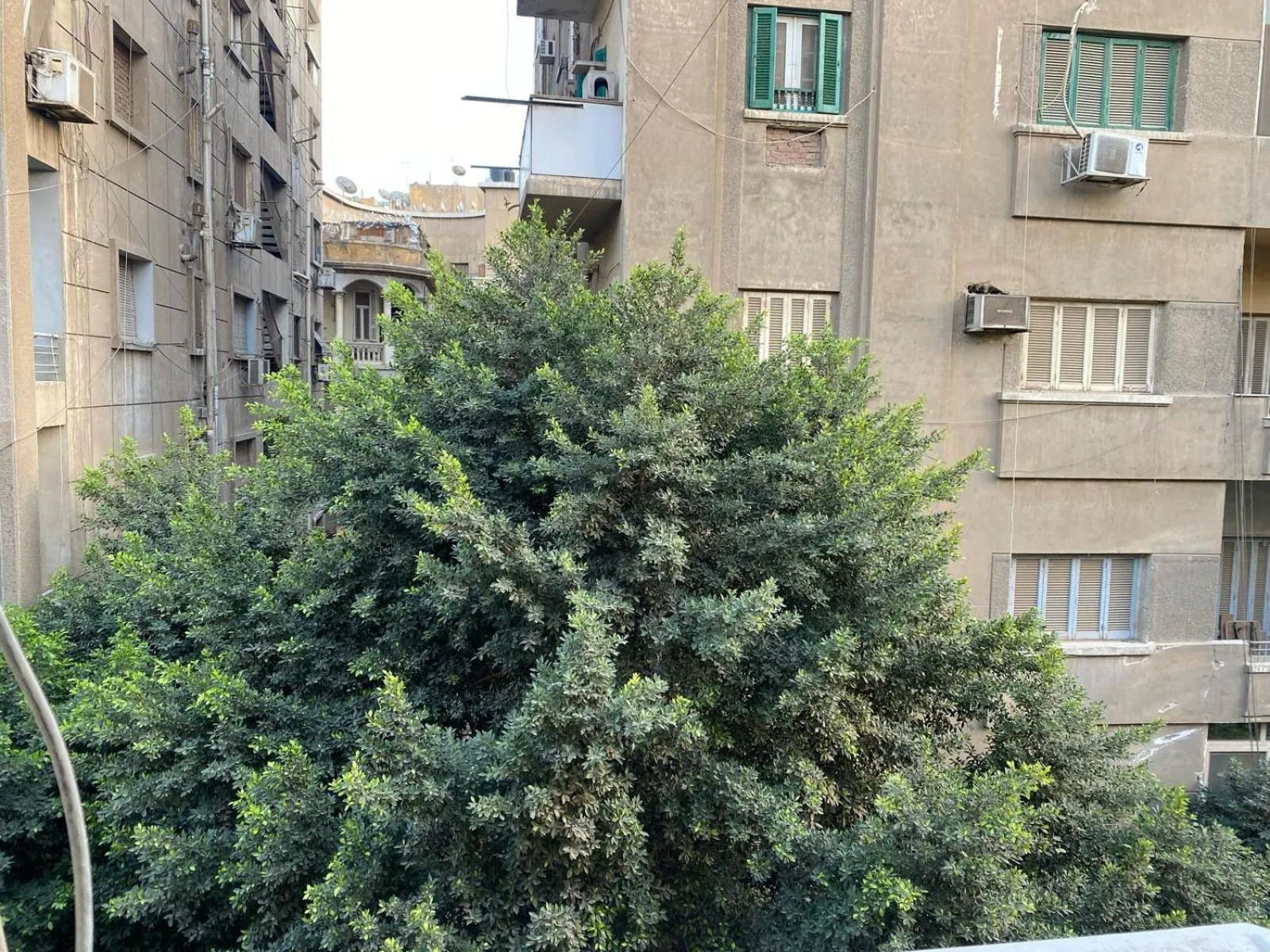 View (from property/room) in Golden Season Hotel