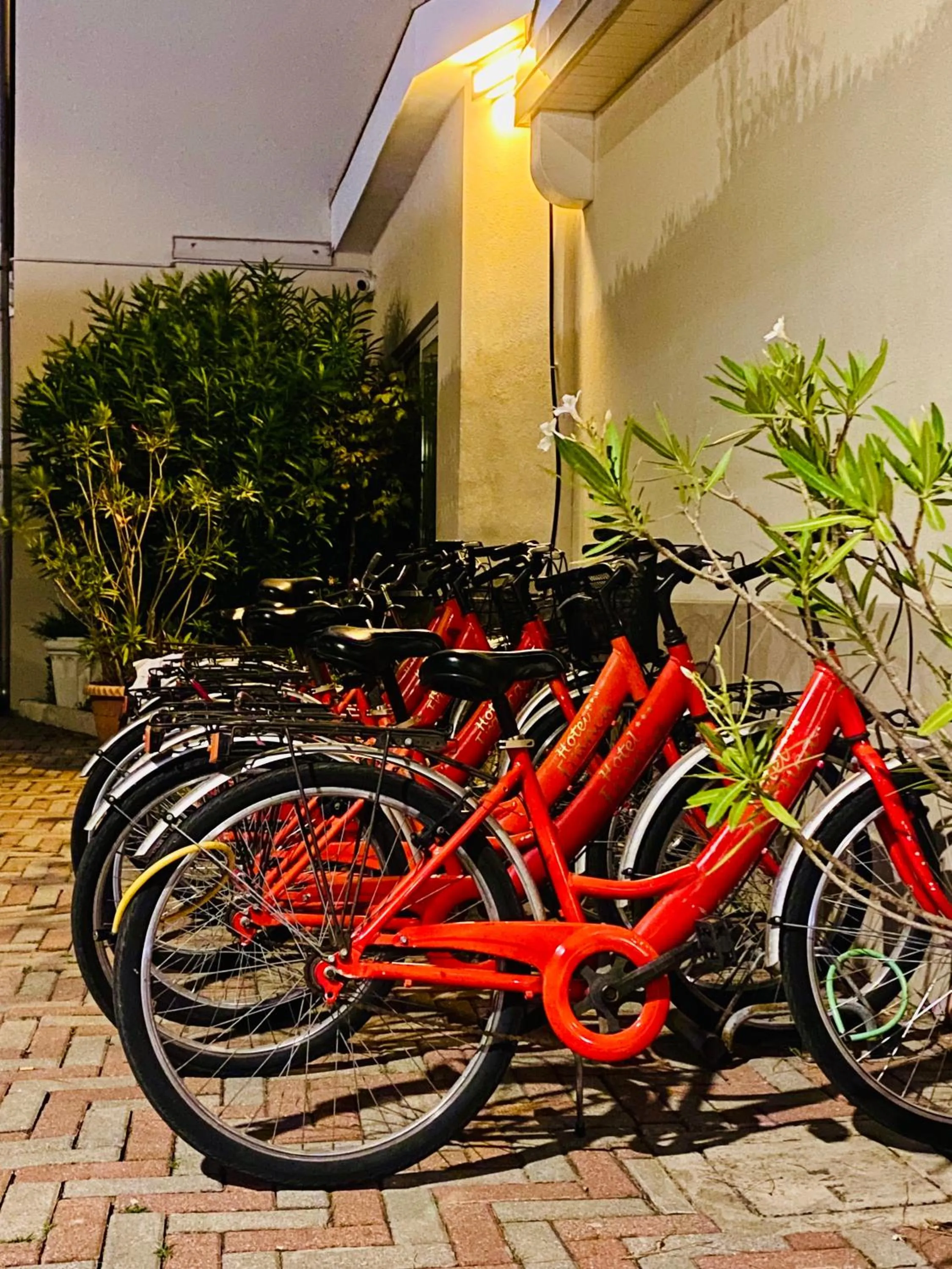 Cycling in Hotel Franca