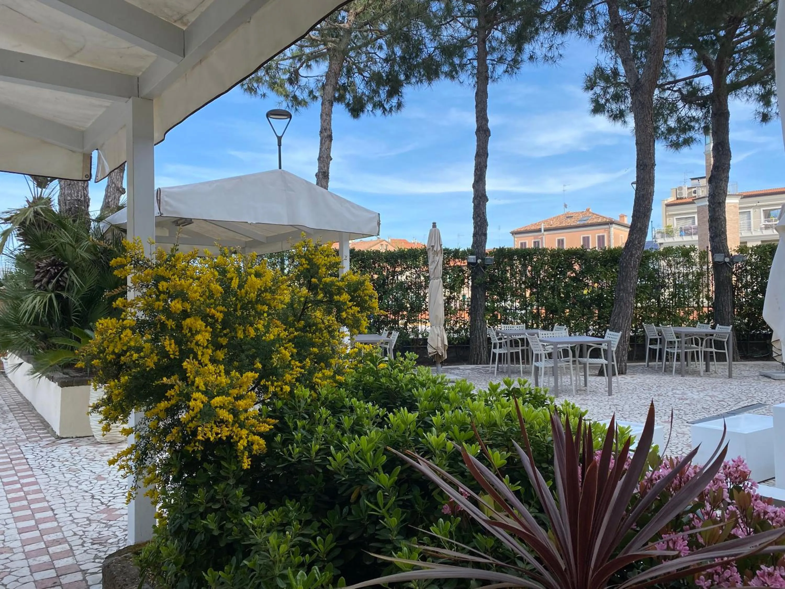Garden in Hotel Franca