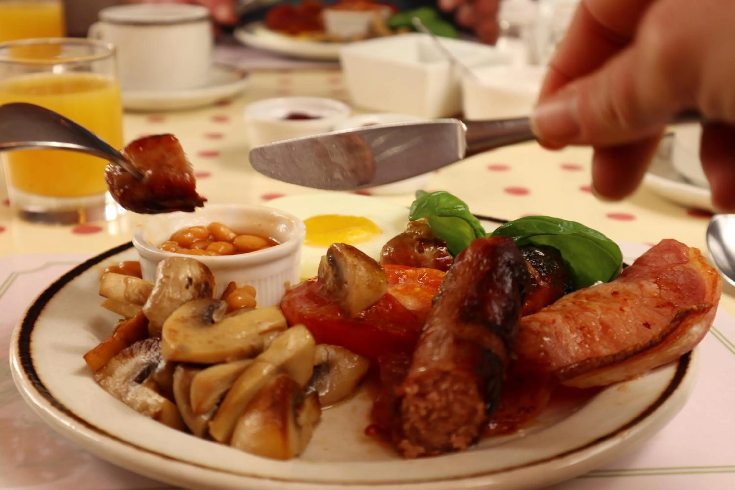 Food and drinks in Cherry Tree Hotel