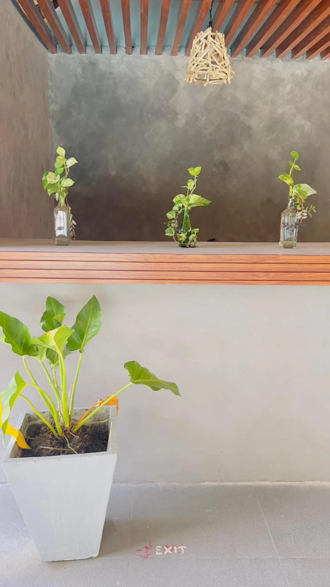 Lobby or reception in Seasta Beach Resort