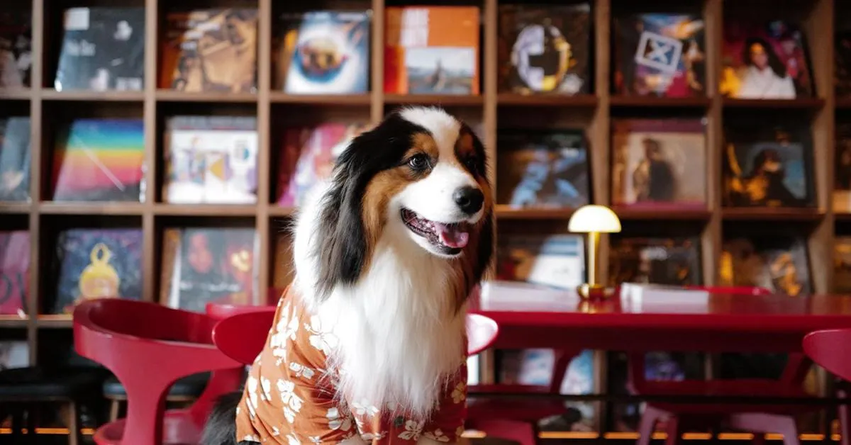 Pets in HYATT - EPISODE Daan Taipei, jdv by Hyatt