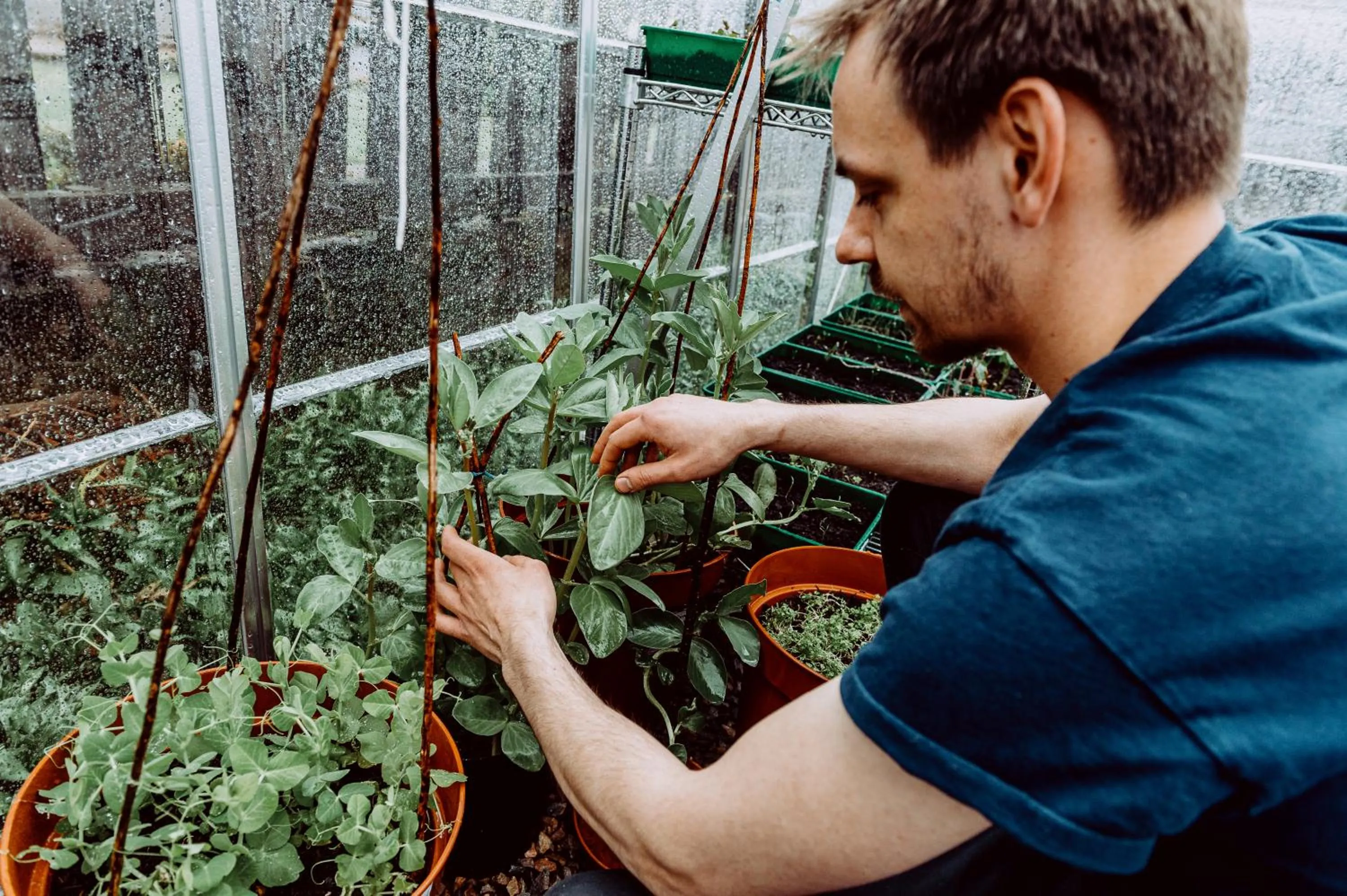 Garden in The Station Hotel