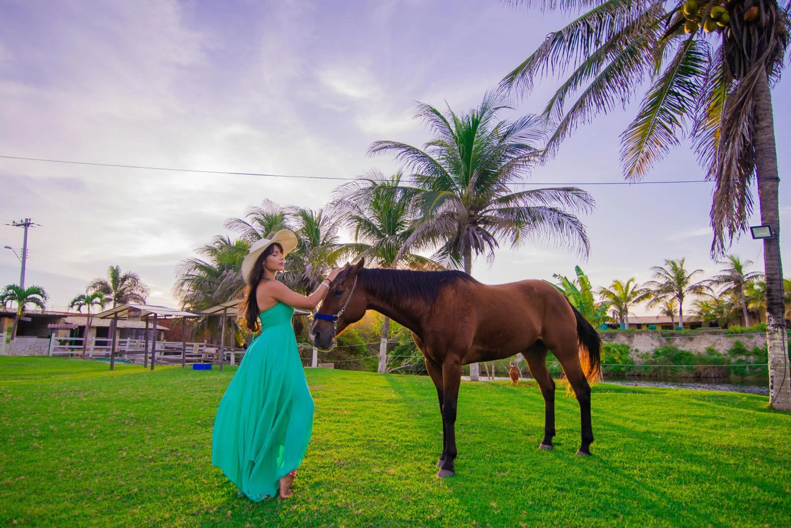 Animals in Coliseum Beach Hotel All Inclusive