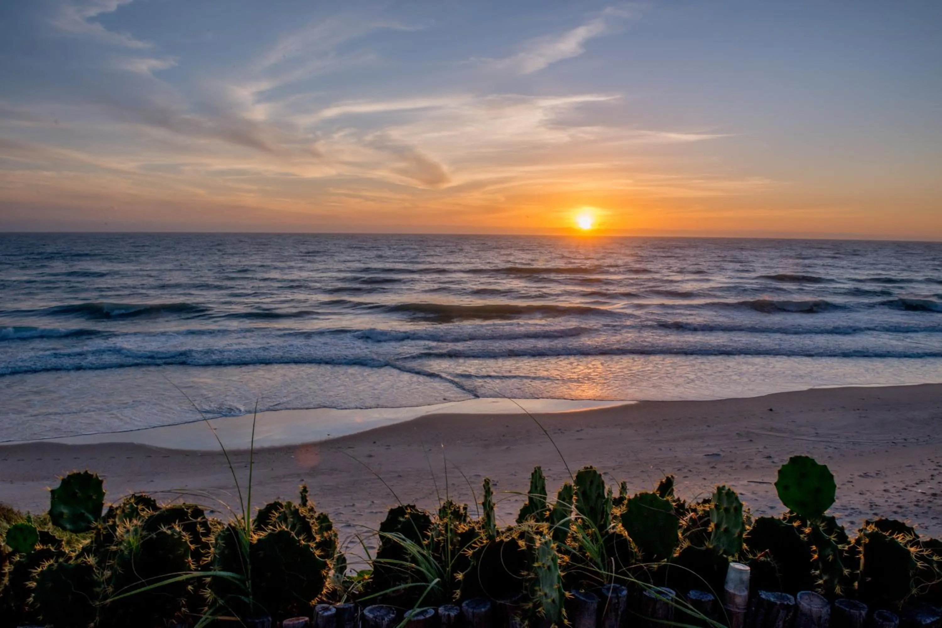 View (from property/room) in Coliseum Beach Hotel All Inclusive