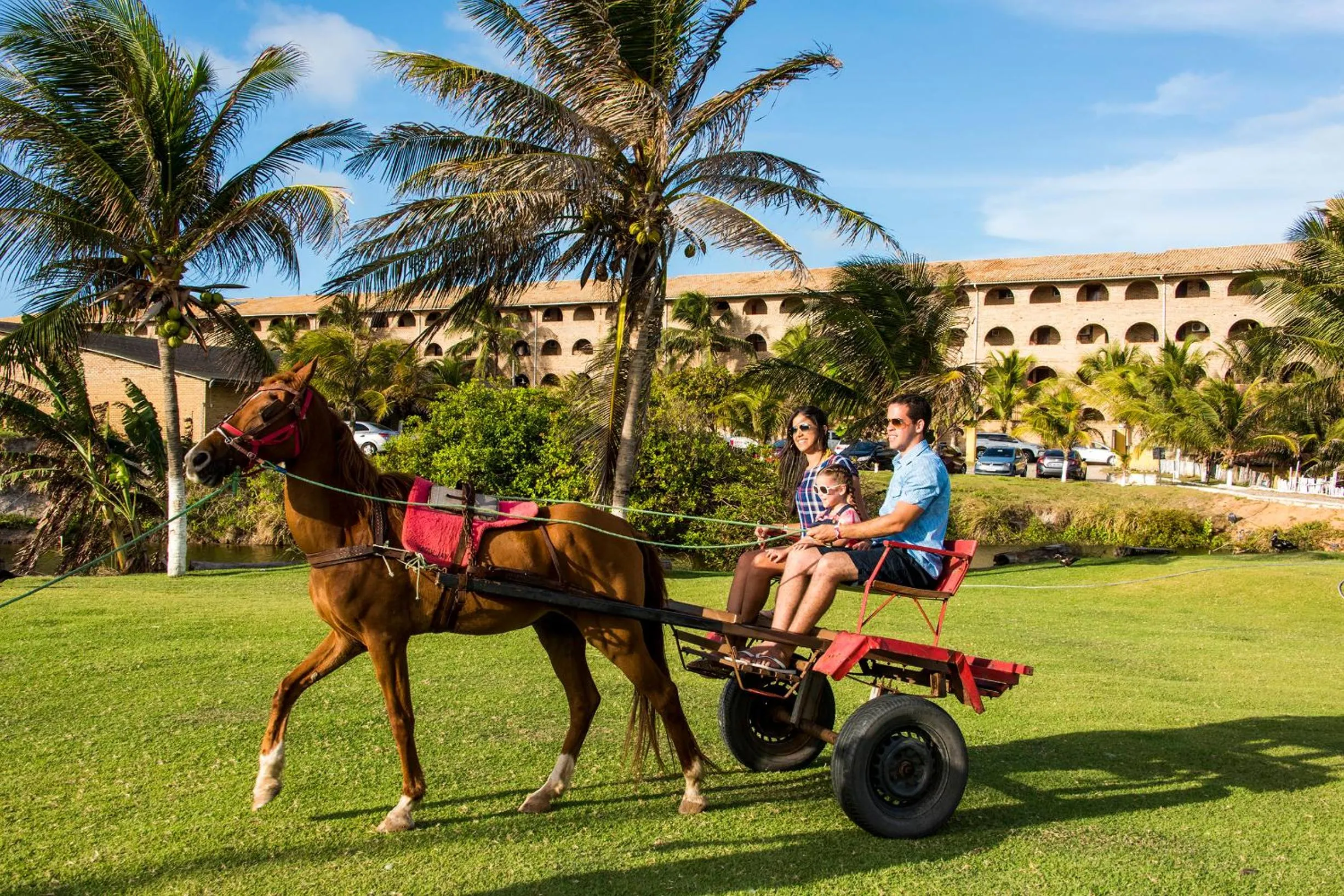 Other in Coliseum Beach Hotel All Inclusive